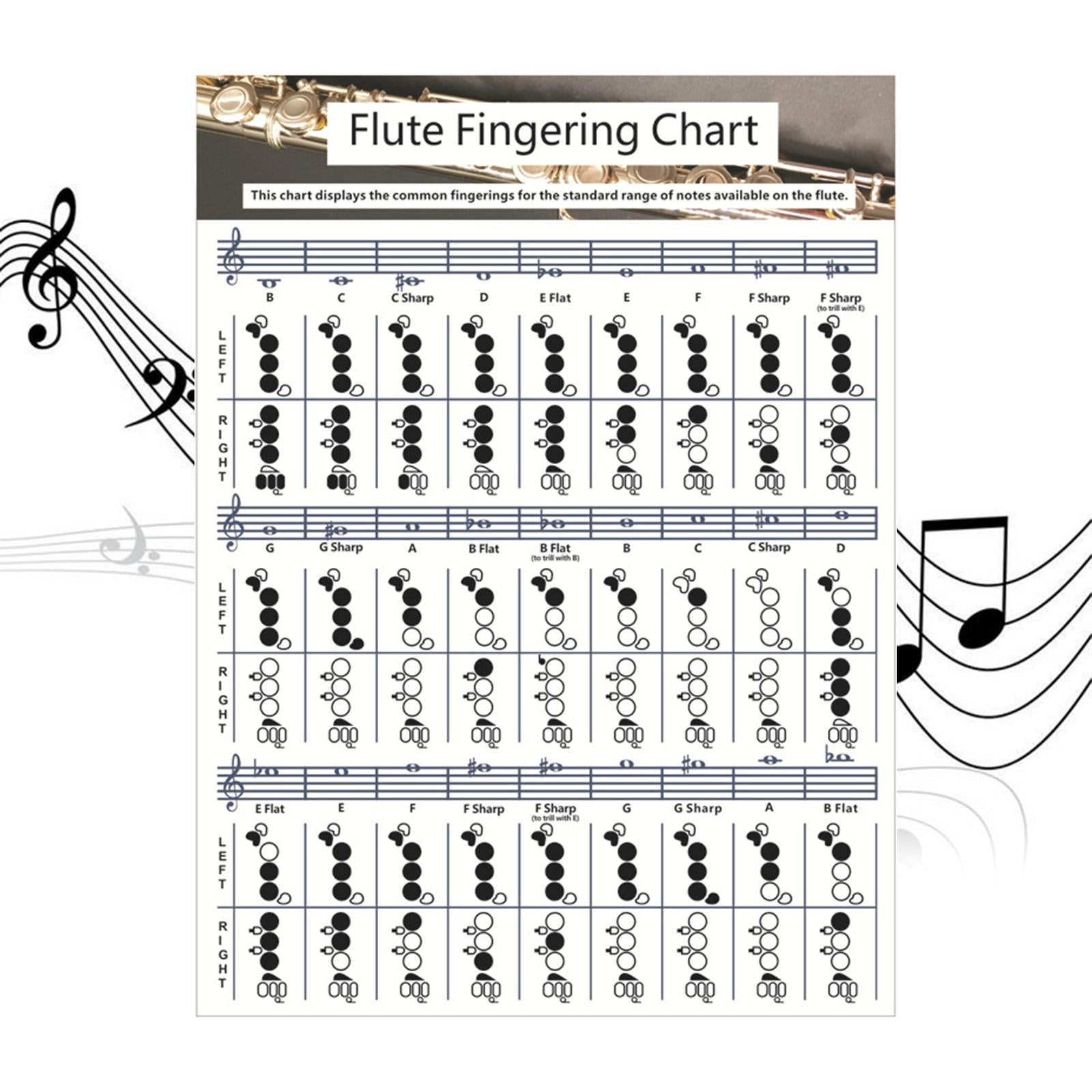 Flute Chord Chart Cheatsheets Educational Accessories for Student Beginners Small