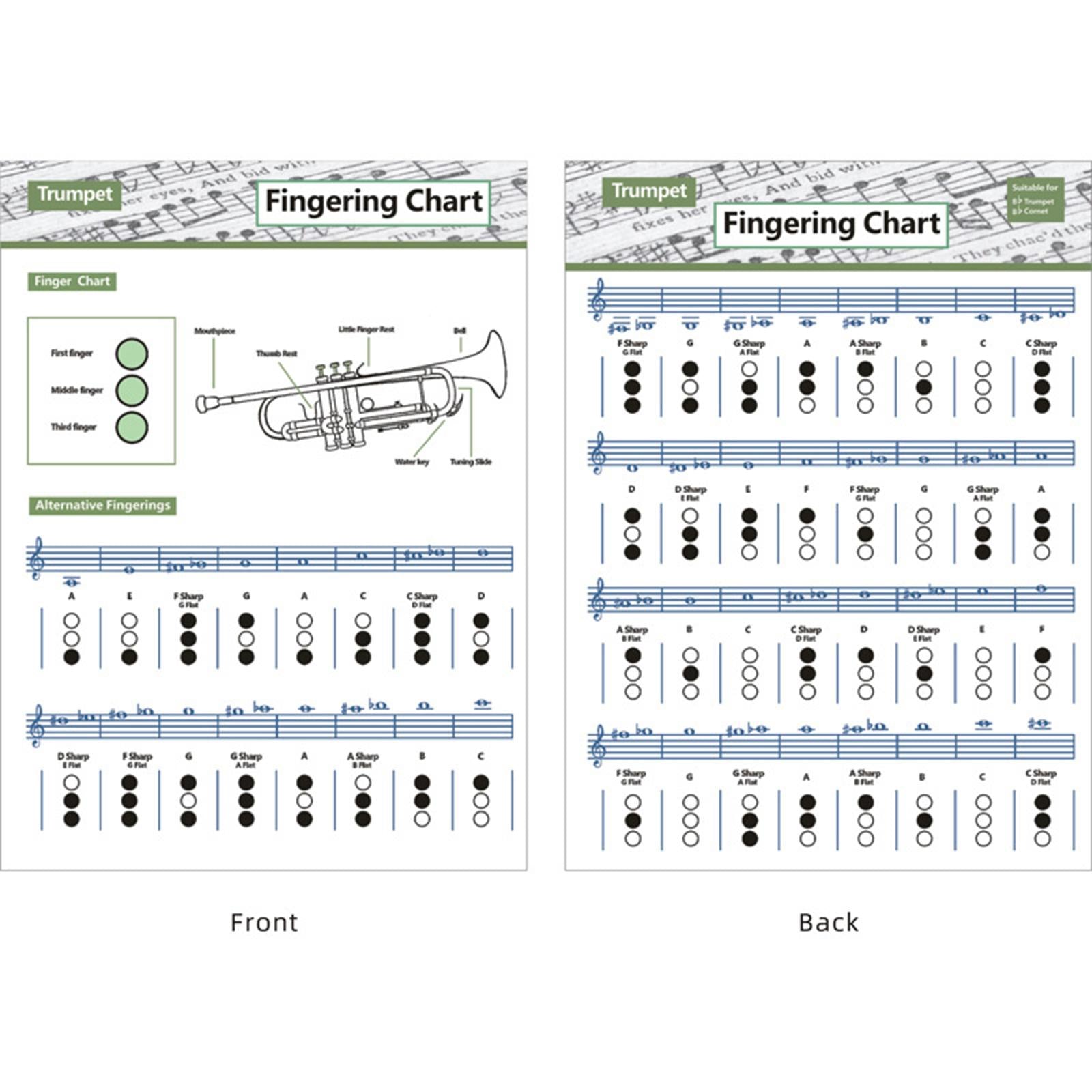 Coated Paper Trumpet Chord Spectrum for Trumpet Lovers Kids Practice Tool Large