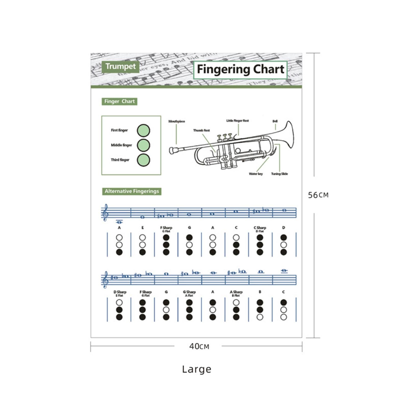Coated Paper Trumpet Chord Spectrum for Trumpet Lovers Kids Practice Tool Large