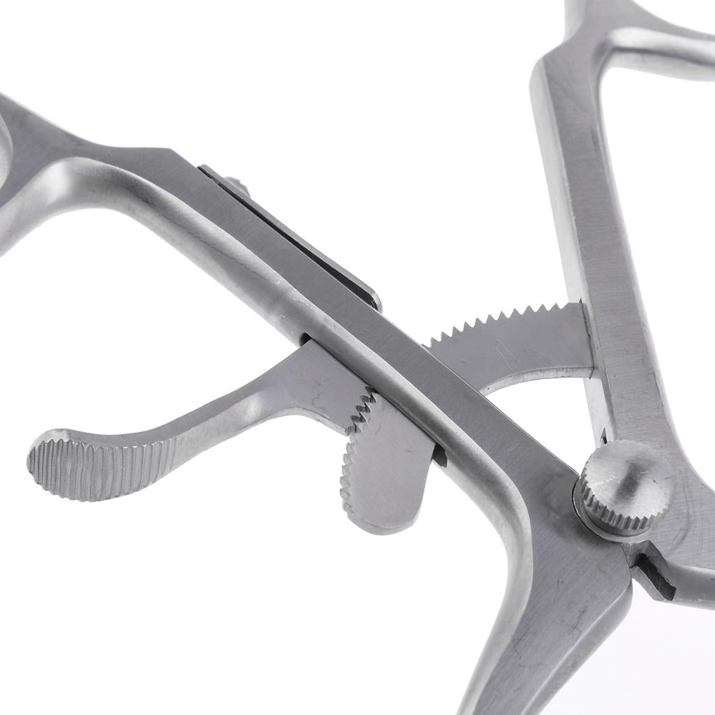 Large Dental Molt Mouth Gag Instruments Mouth Opener Retractor