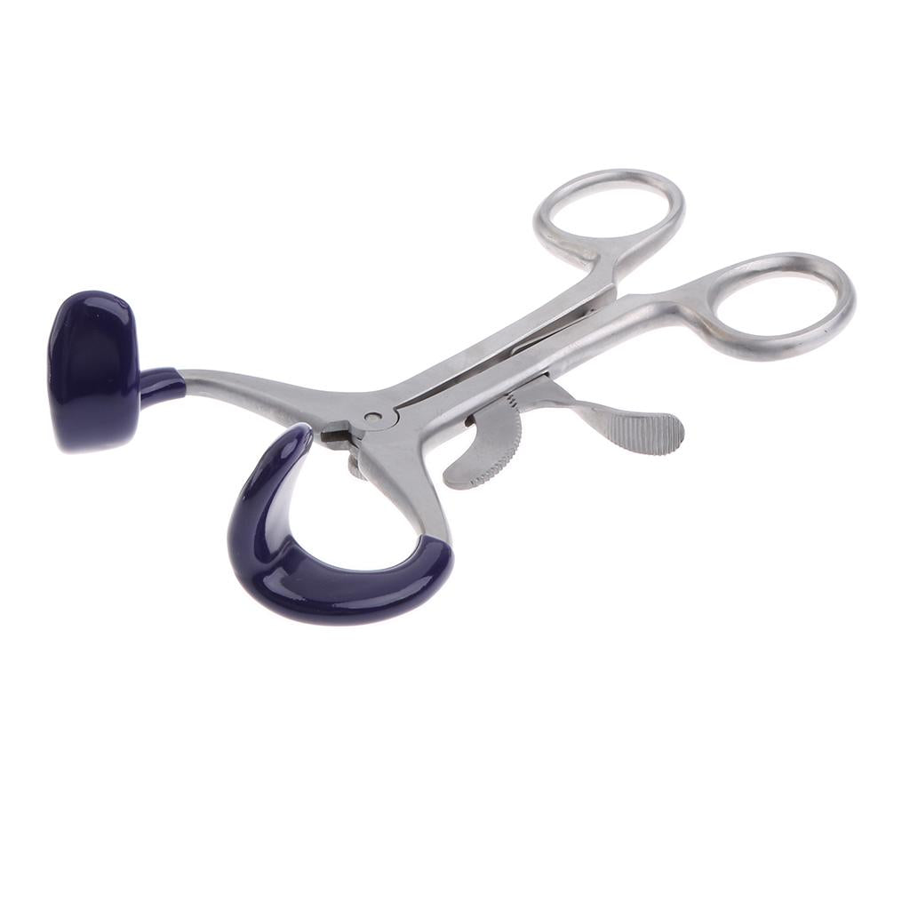 Large Dental Molt Mouth Gag Instruments Mouth Opener Retractor