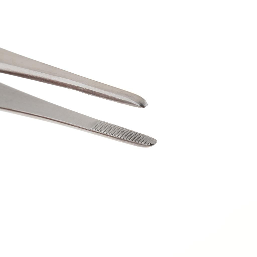 Long Stainless Steel Straight Tweezers for Detailed Work 16cm Length A
