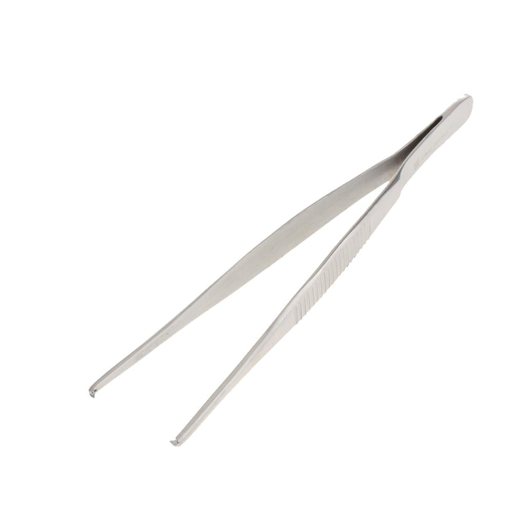 Long Stainless Steel Straight Tweezers for Detailed Work 16cm Length B