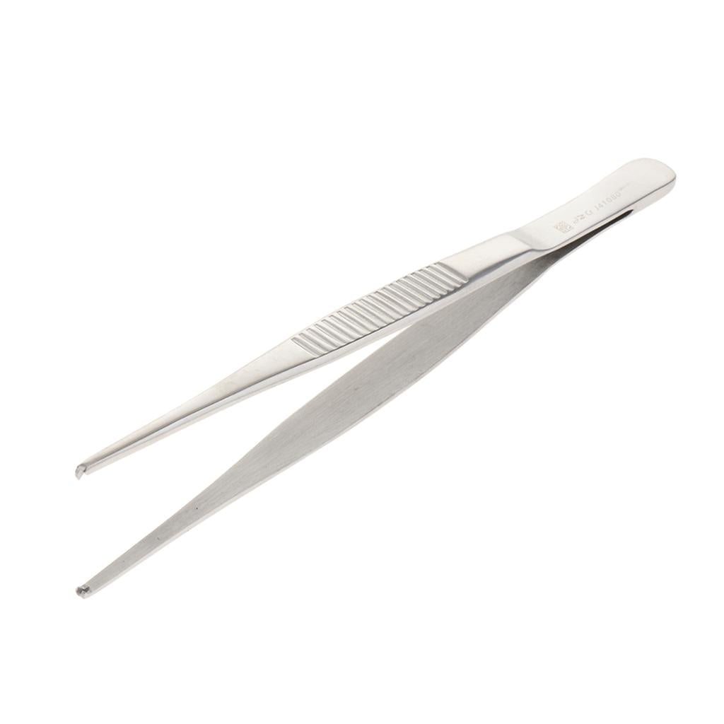Long Stainless Steel Straight Tweezers for Detailed Work 16cm Length B