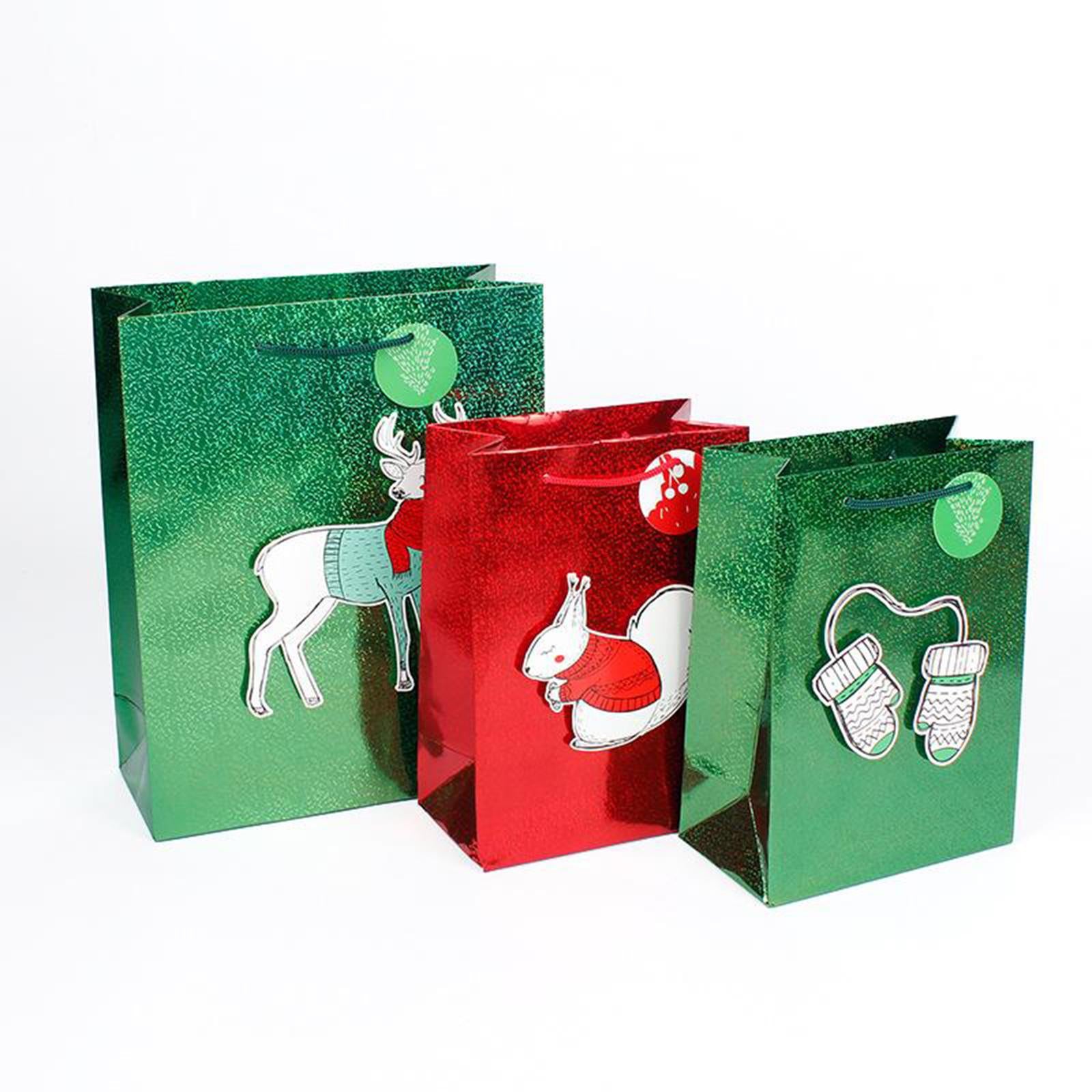 Medium Gift Bags Wrapping Present Party Bag Xmas Bags Squirrel