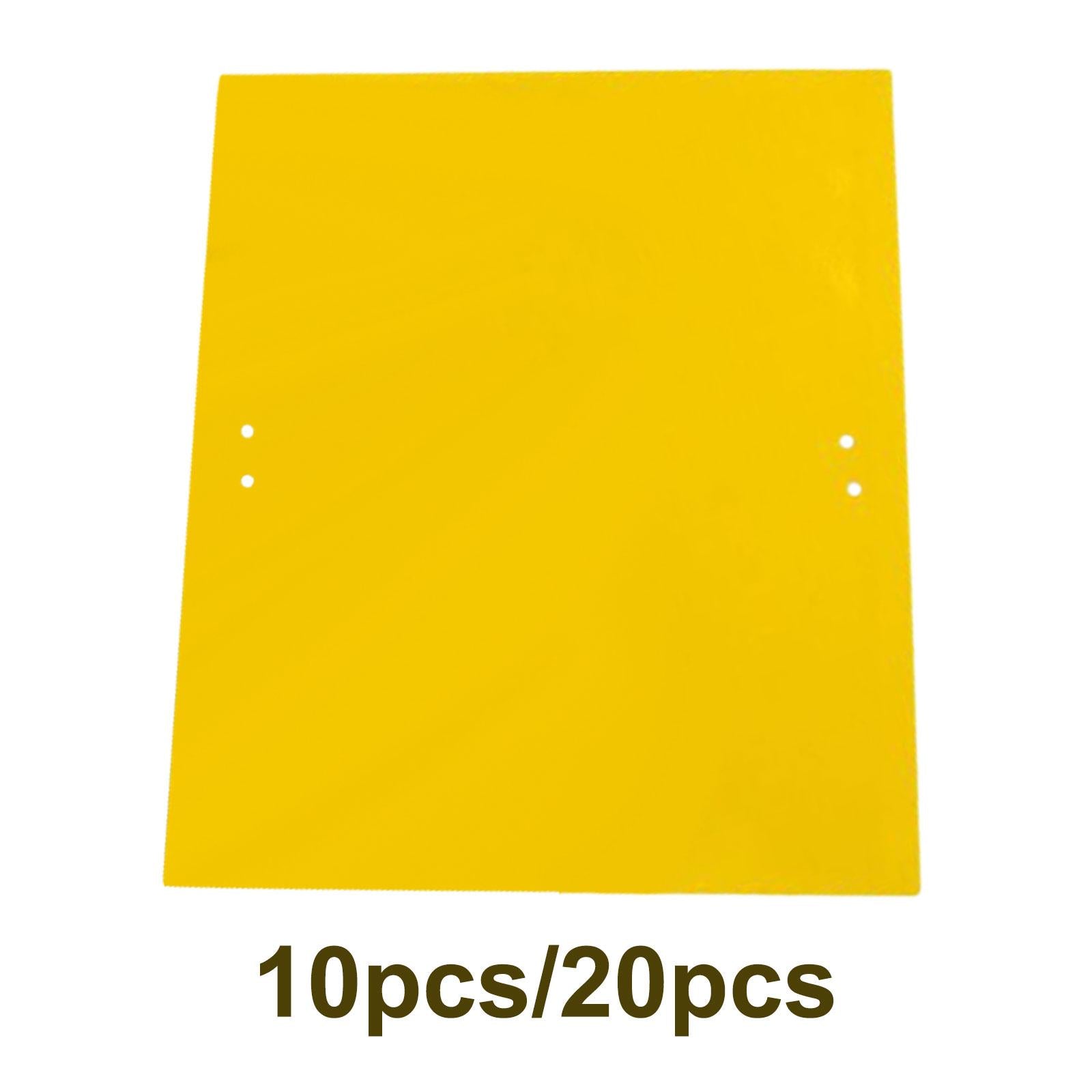 Sticky Traps Insect Catcher Traps Plant Gnat Catcher 10pcs
