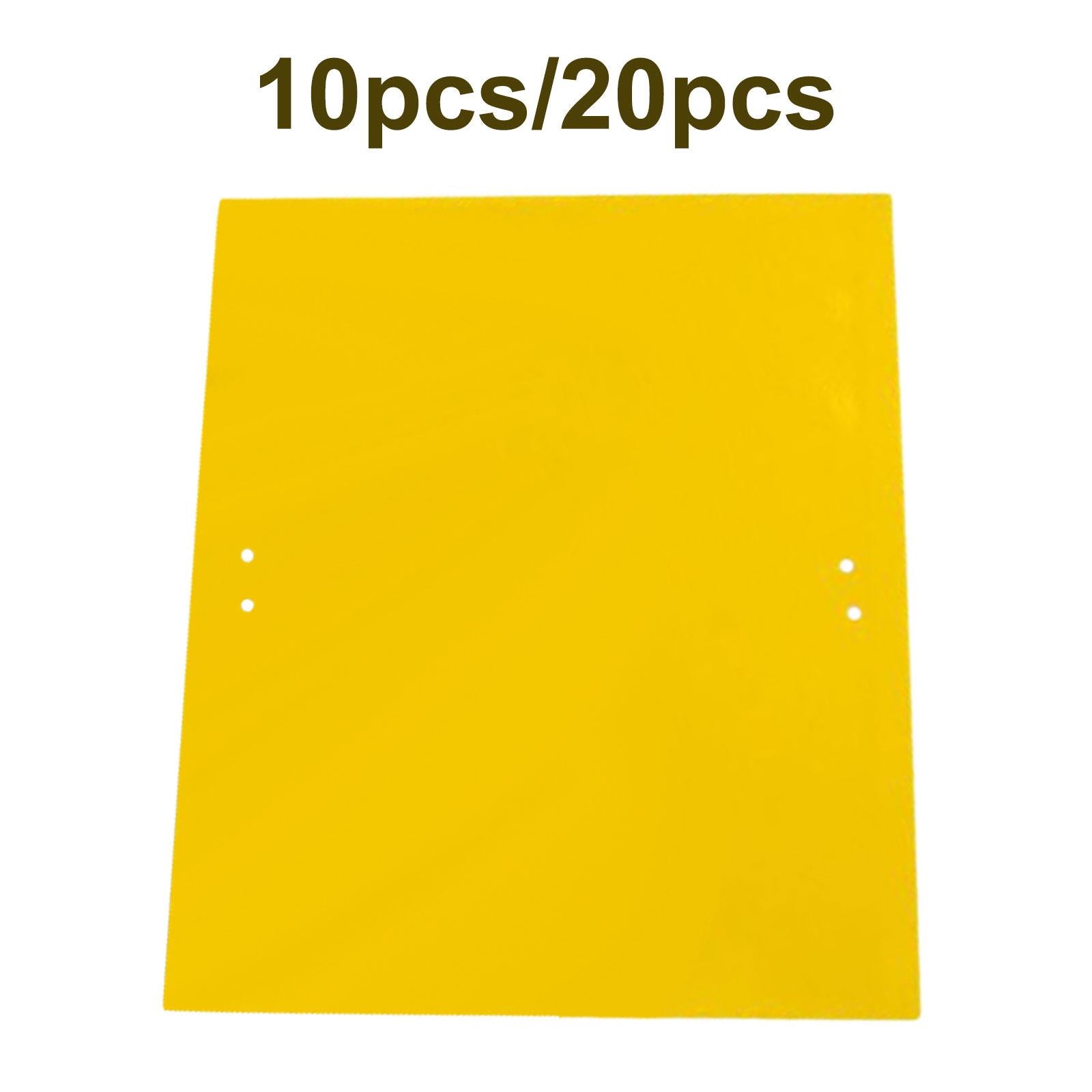 Sticky Traps Insect Catcher Traps Plant Gnat Catcher 10pcs