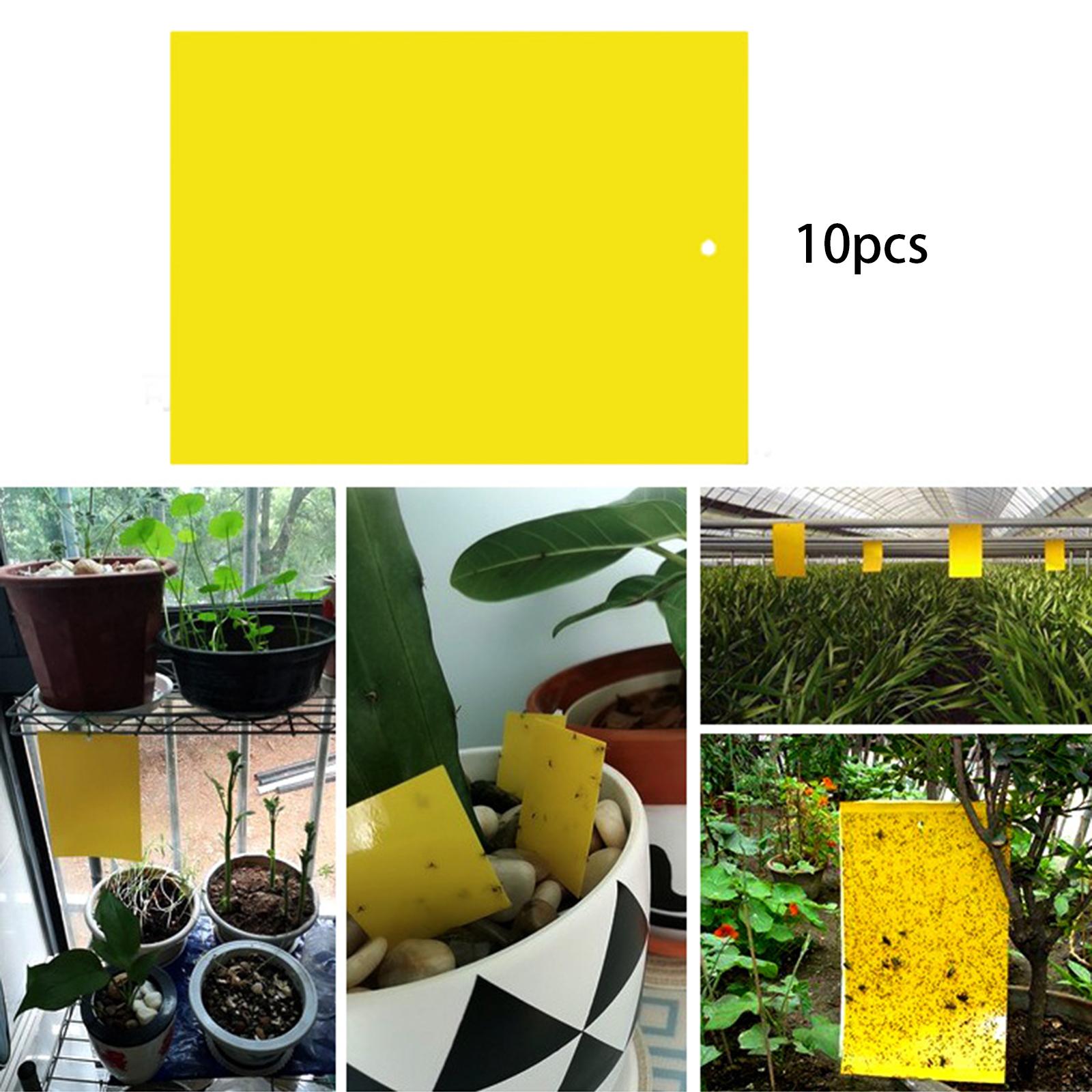 Sticky Traps 20x15cm Yellow Double-Sided for Flying Plant Insect Thrips 10PC