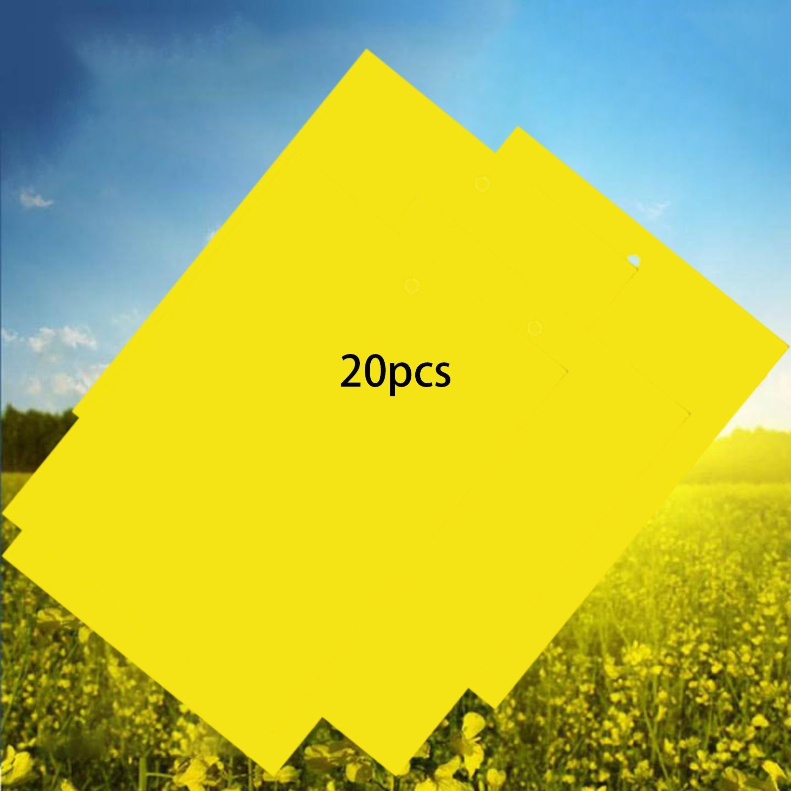 Sticky Traps 20x15cm Yellow Double-Sided for Flying Plant Insect Thrips 20PC