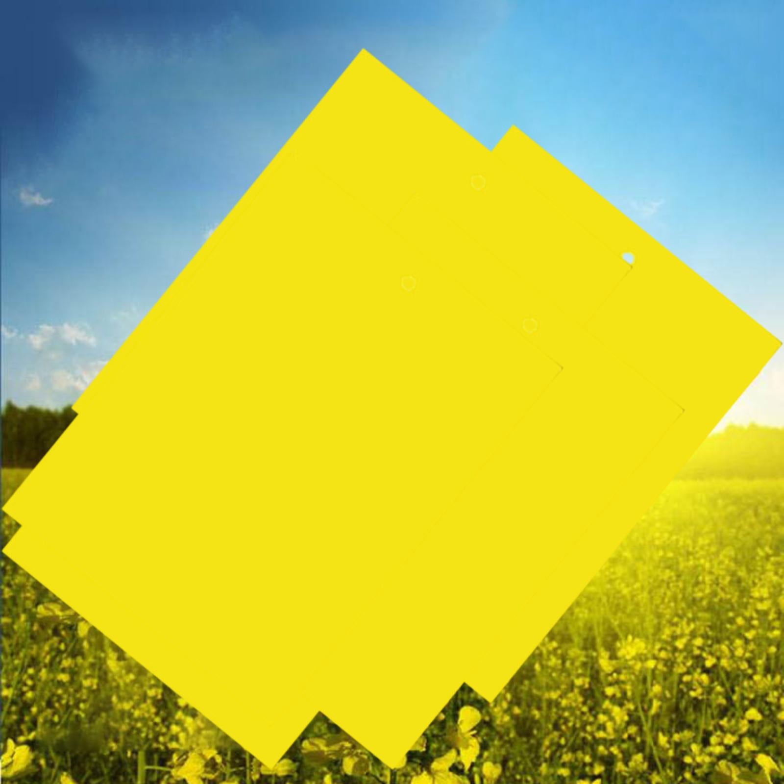 Sticky Traps 20x15cm Yellow Double-Sided for Flying Plant Insect Thrips 20PC
