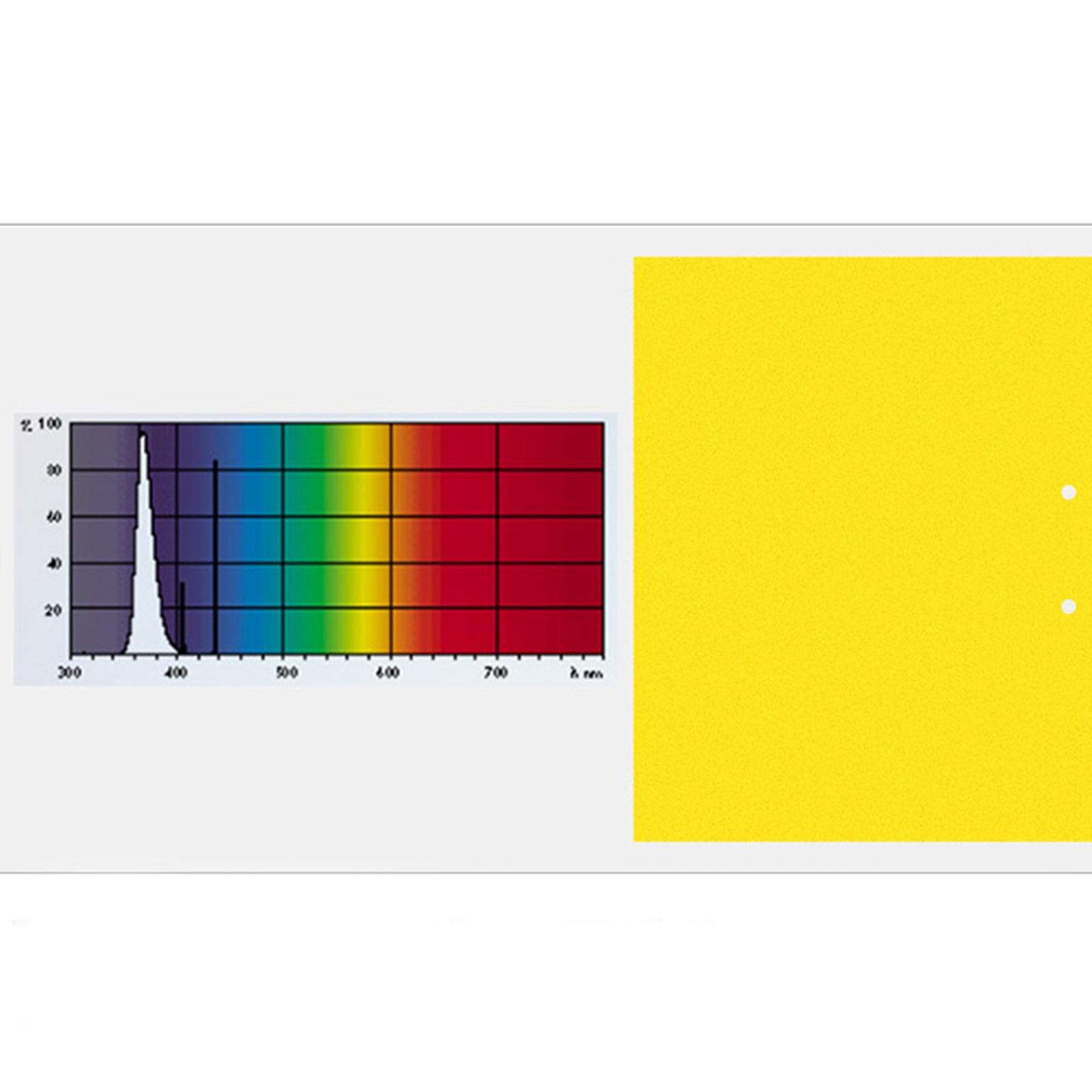 Sticky Traps 20x15cm Yellow Double-Sided for Flying Plant Insect Thrips 20PC