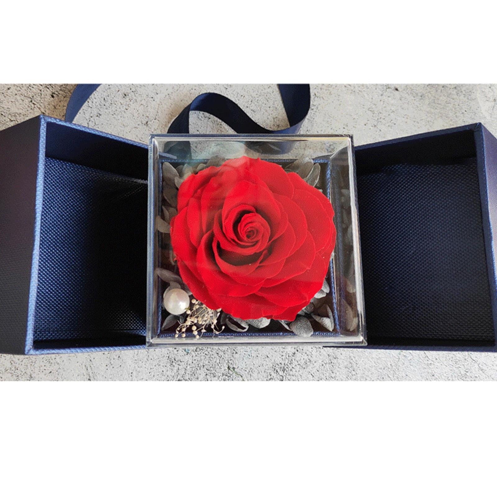 Natural Preserved Rose Eternal Rose for Valentines Day Mothers Day Women red