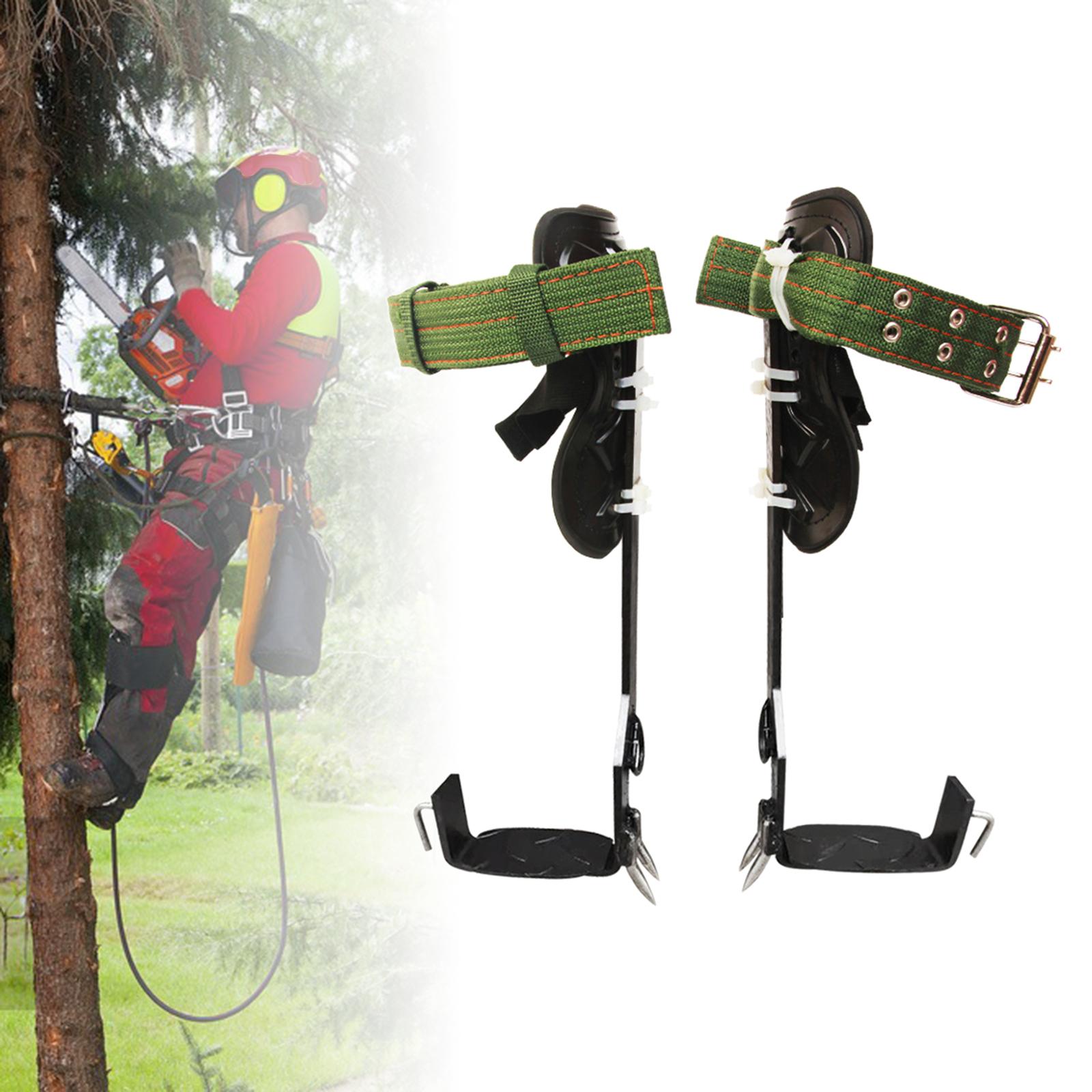 Tree Climbing Spike Set W/ Lanyard Wear-Resistant Anti Slip for Outdoor 2 Teeth