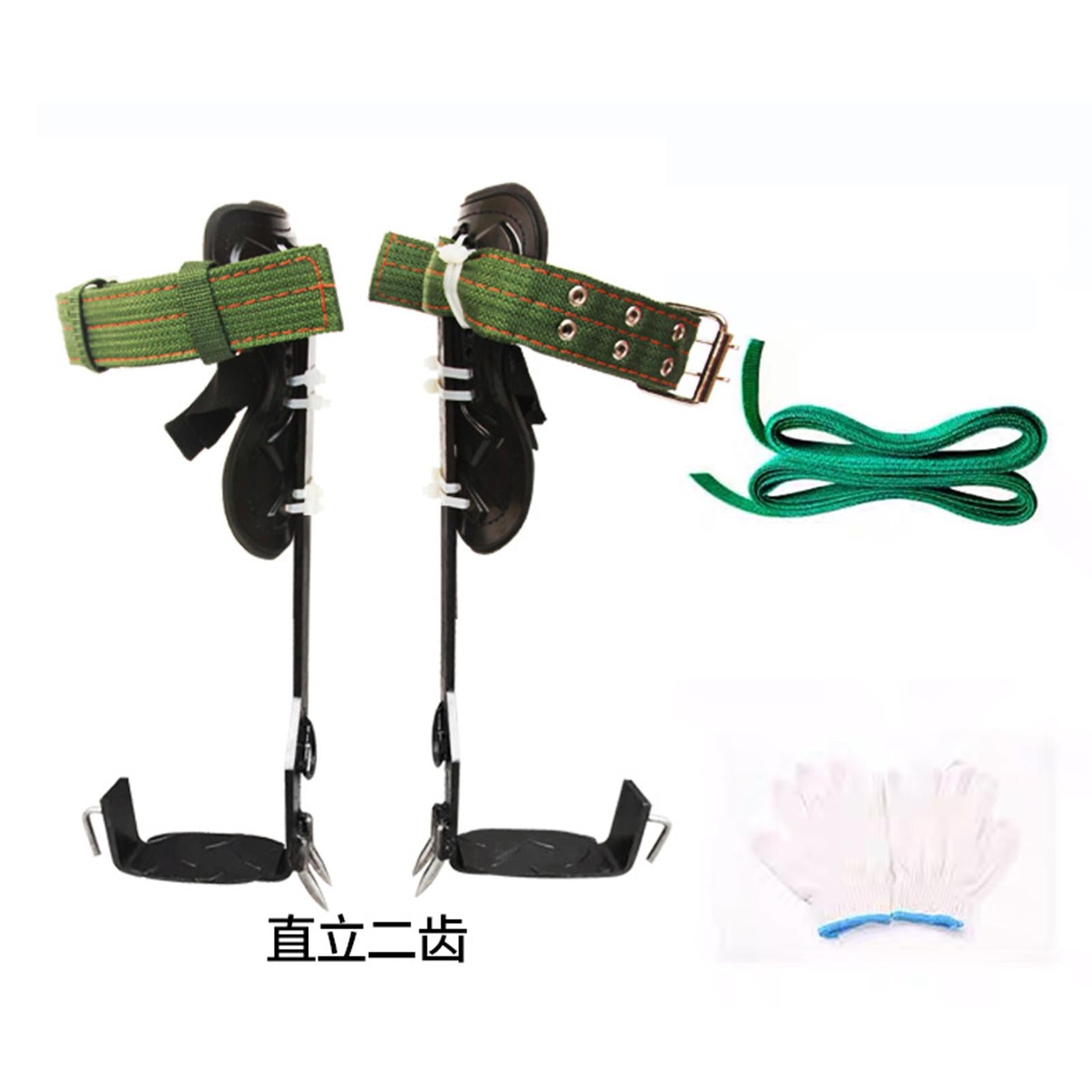 Tree Climbing Spike Set W/ Lanyard Wear-Resistant Anti Slip for Outdoor 2 Teeth
