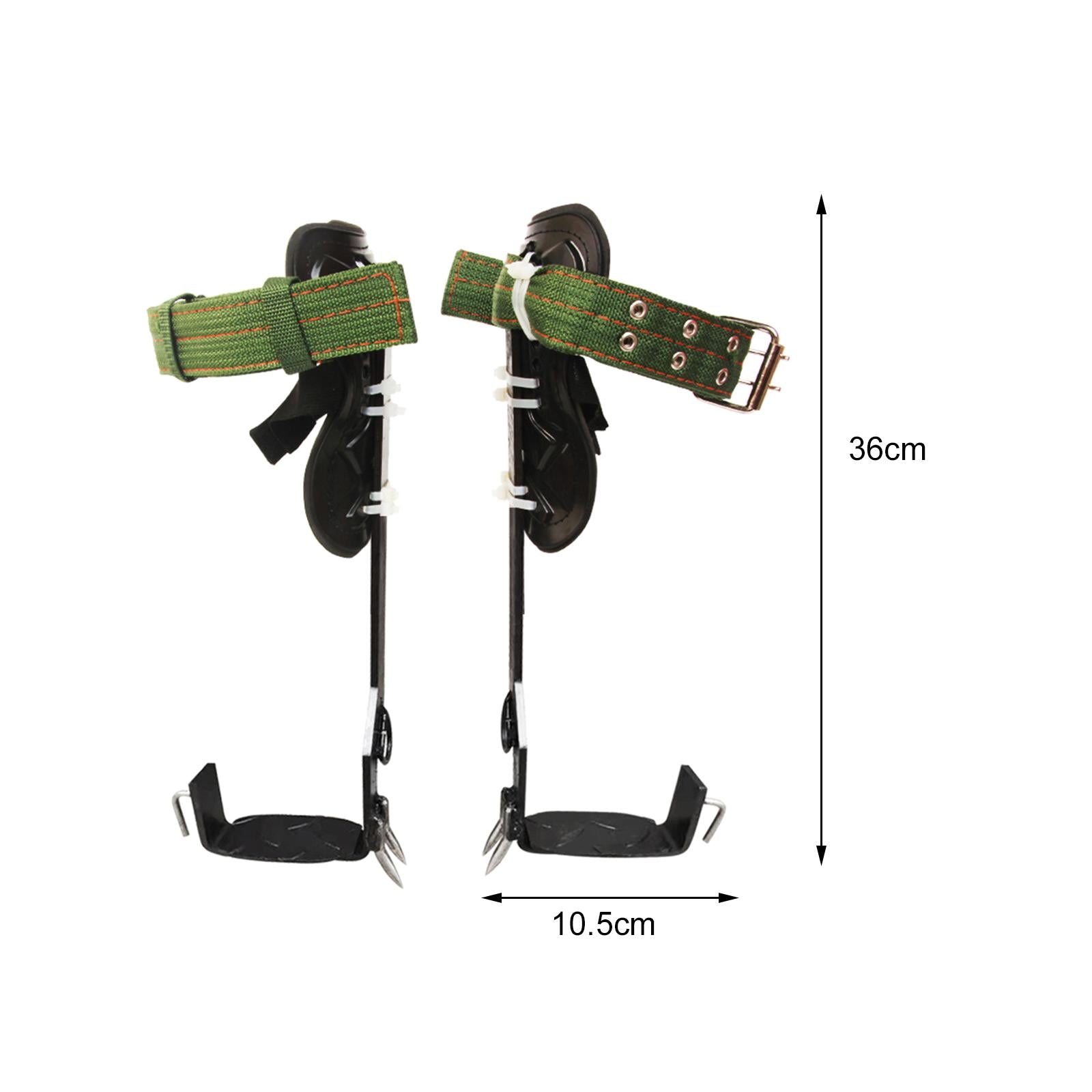 Tree Climbing Spike Set W/ Lanyard Wear-Resistant Anti Slip for Outdoor 2 Teeth