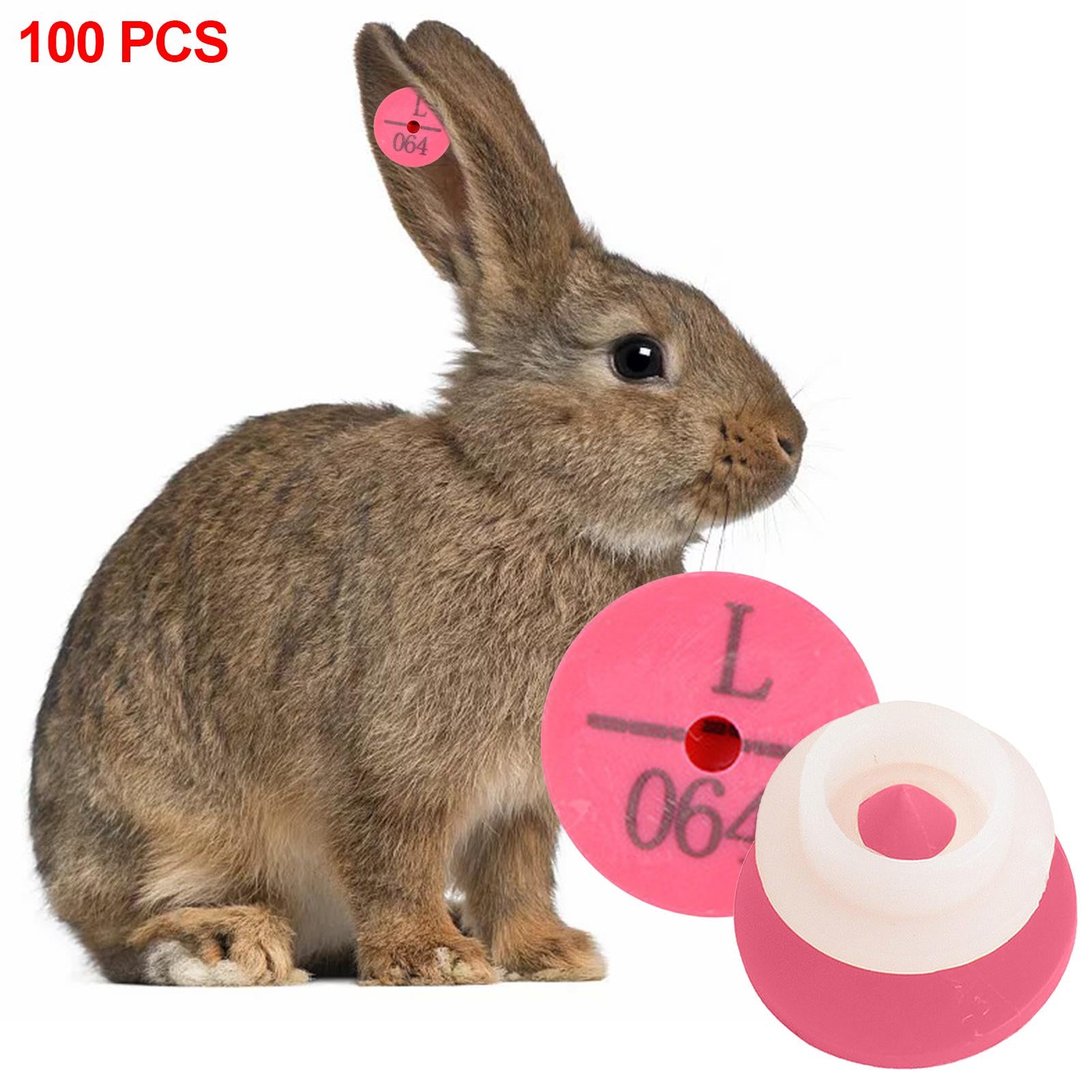 100Pcs Numbered Ear Tag Earrings for Rabbit Cow Cattle Pigs Calf Hogs Sheep Rose Red