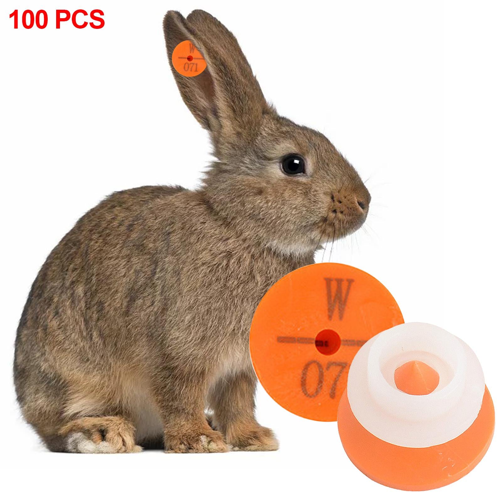 100Pcs Numbered Ear Tag Earrings for Rabbit Cow Cattle Pigs Calf Hogs Sheep Orange