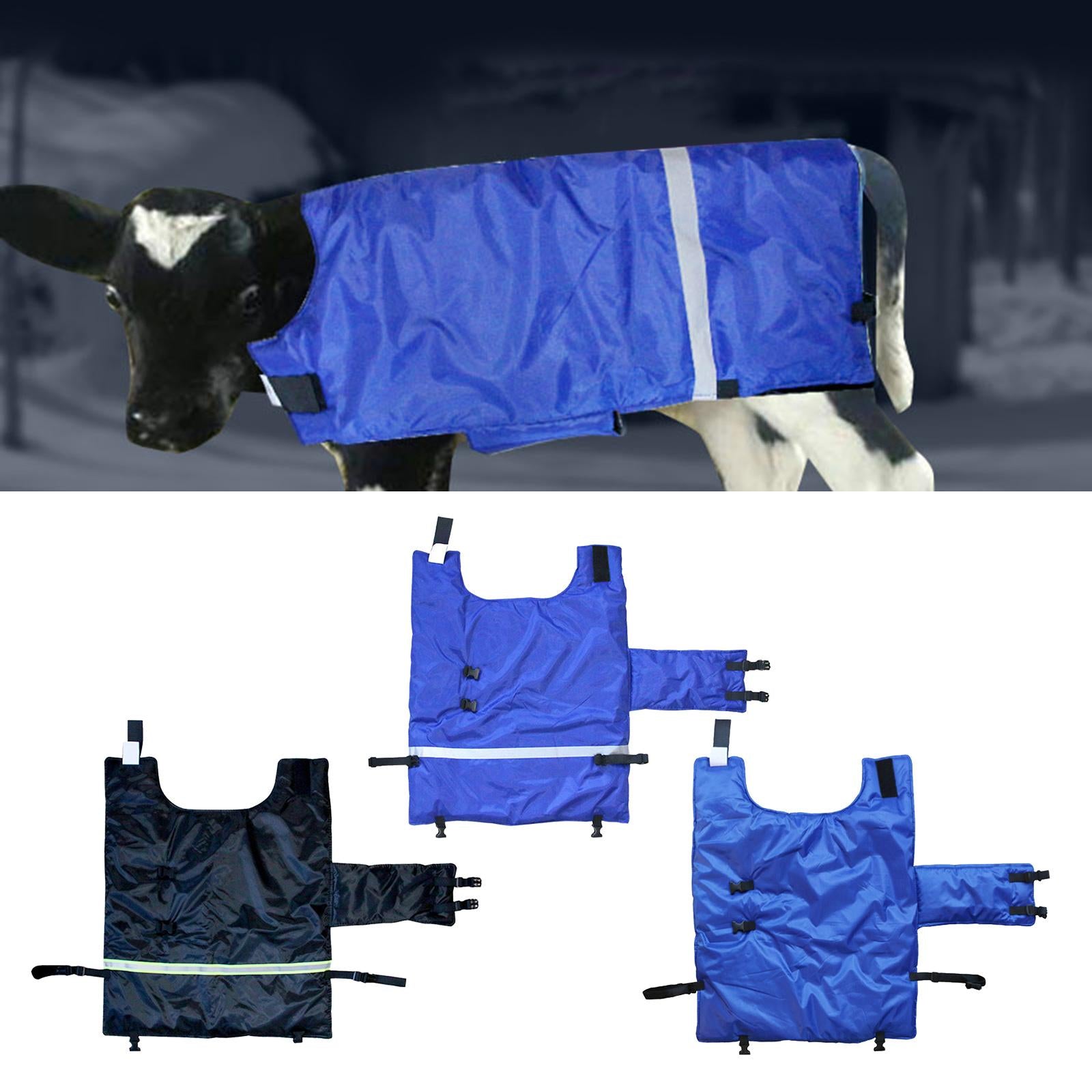 Cow Calf Coat Cotton-Padded with Belly Band Clothing for Keep Warm Farmhouse Blue