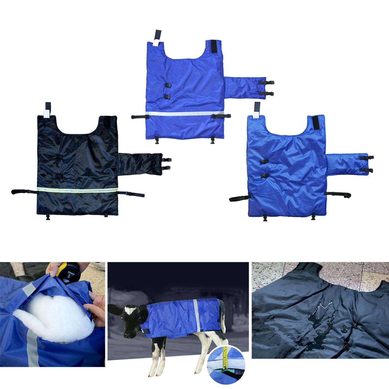 Cow Calf Coat Cotton-Padded with Belly Band Clothing for Keep Warm Farmhouse Blue