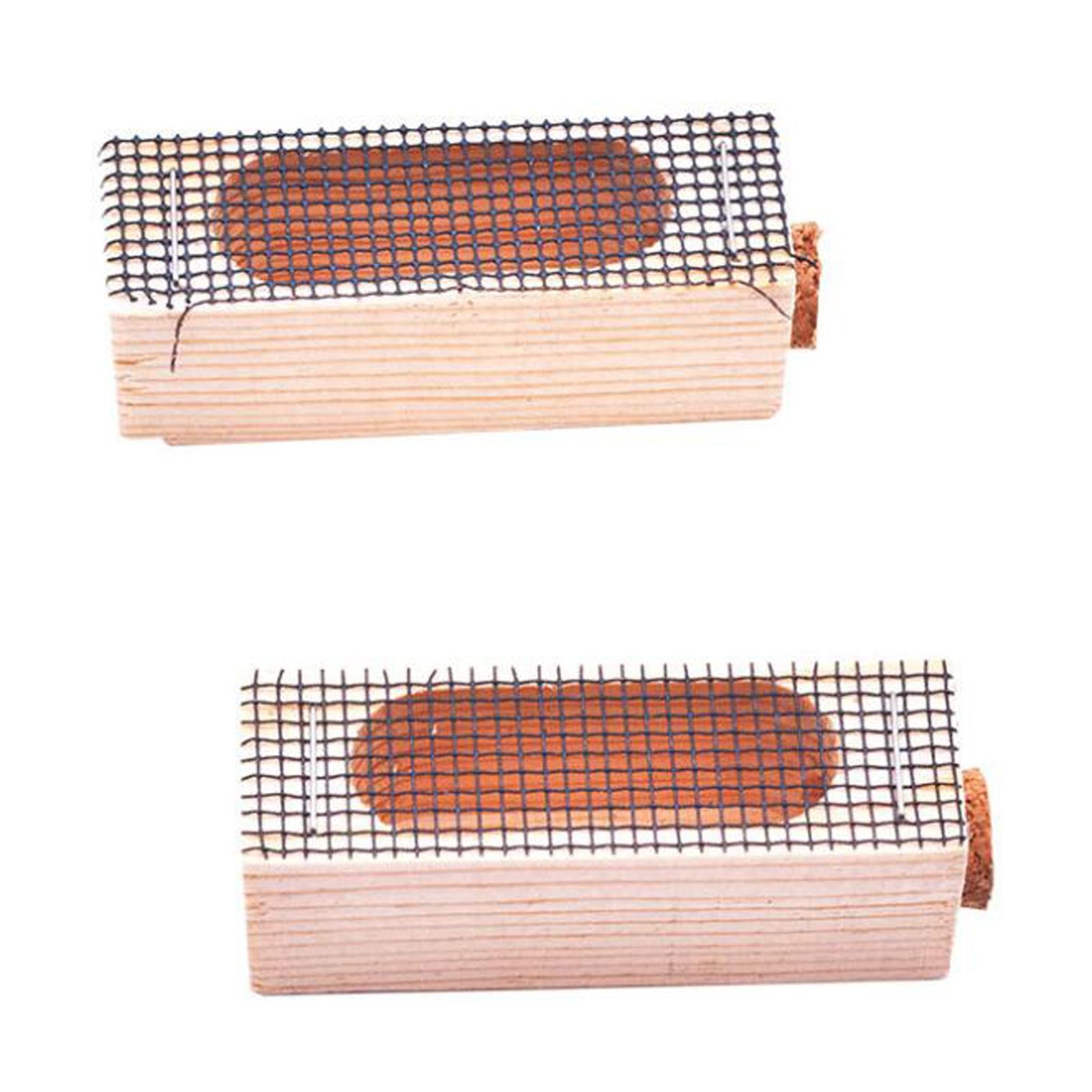 5Pieces Queen Bee Cage Catcher Cage Hive Rearing Box for Beekeeping