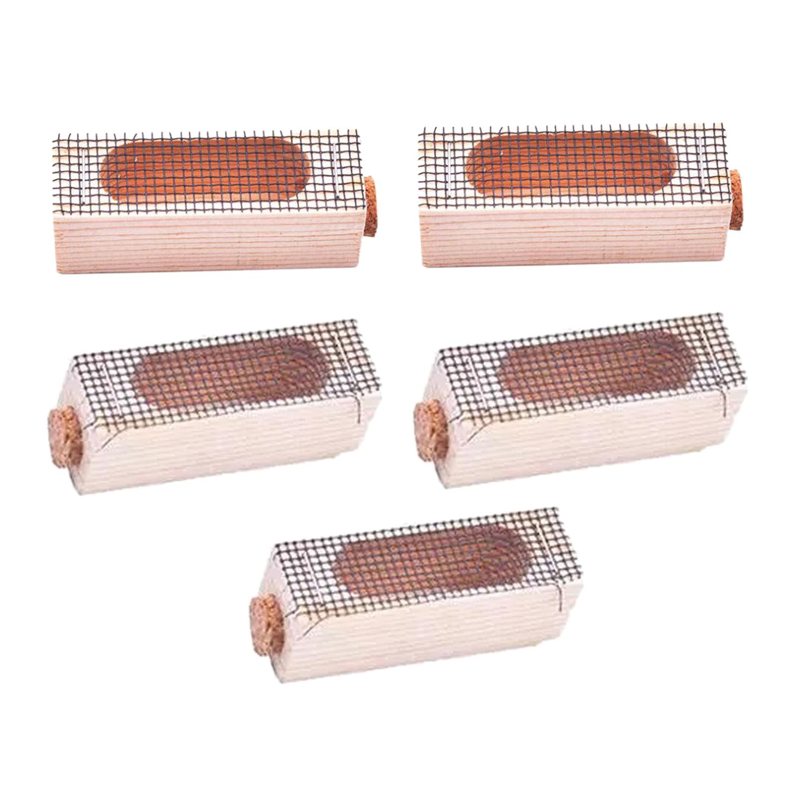5Pieces Queen Bee Cage Catcher Cage Hive Rearing Box for Beekeeping