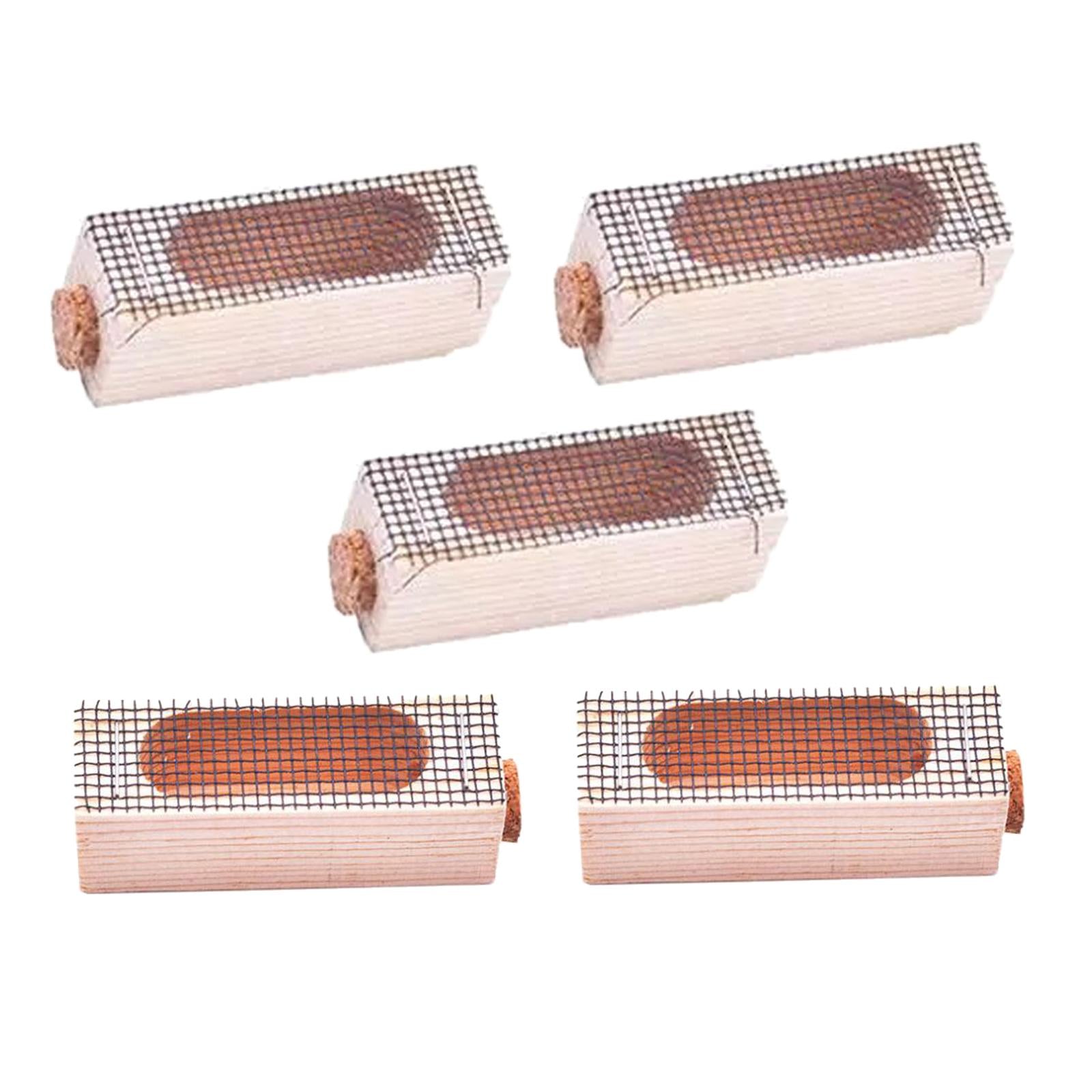 5Pieces Queen Bee Cage Catcher Cage Hive Rearing Box for Beekeeping