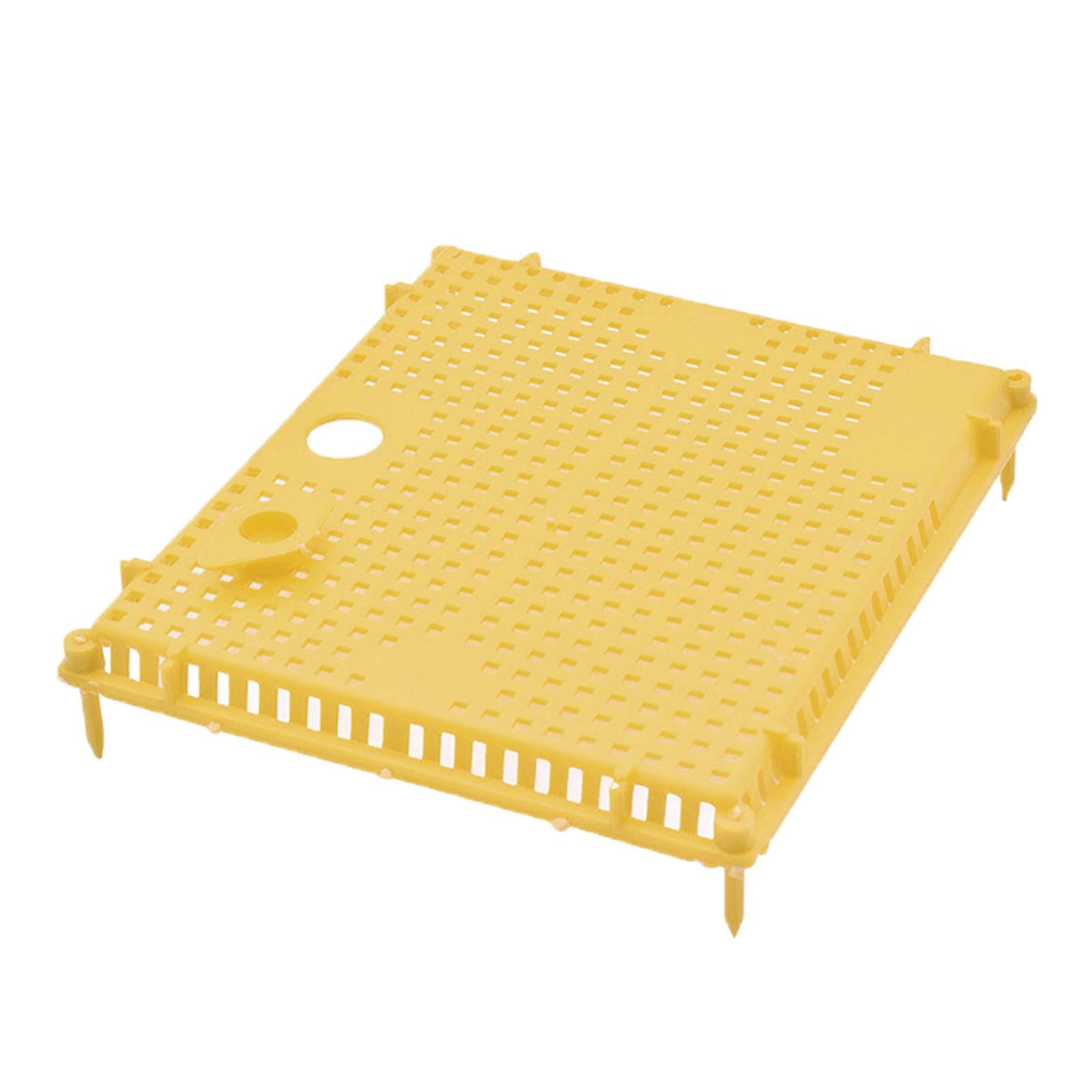 Queen Bee Isolator Introducing Cage Plastic Equipment Reusable Beekeeping Yellow