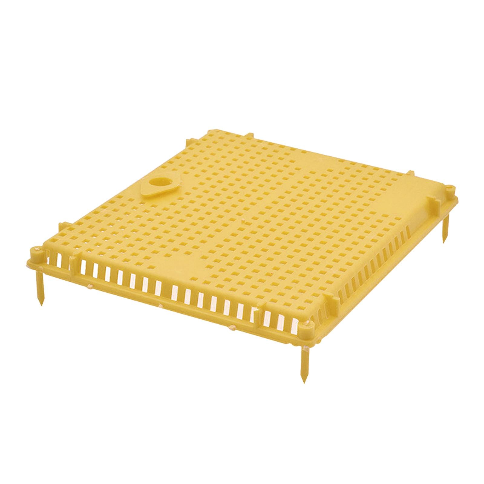 Queen Bee Isolator Introducing Cage Plastic Equipment Reusable Beekeeping Yellow