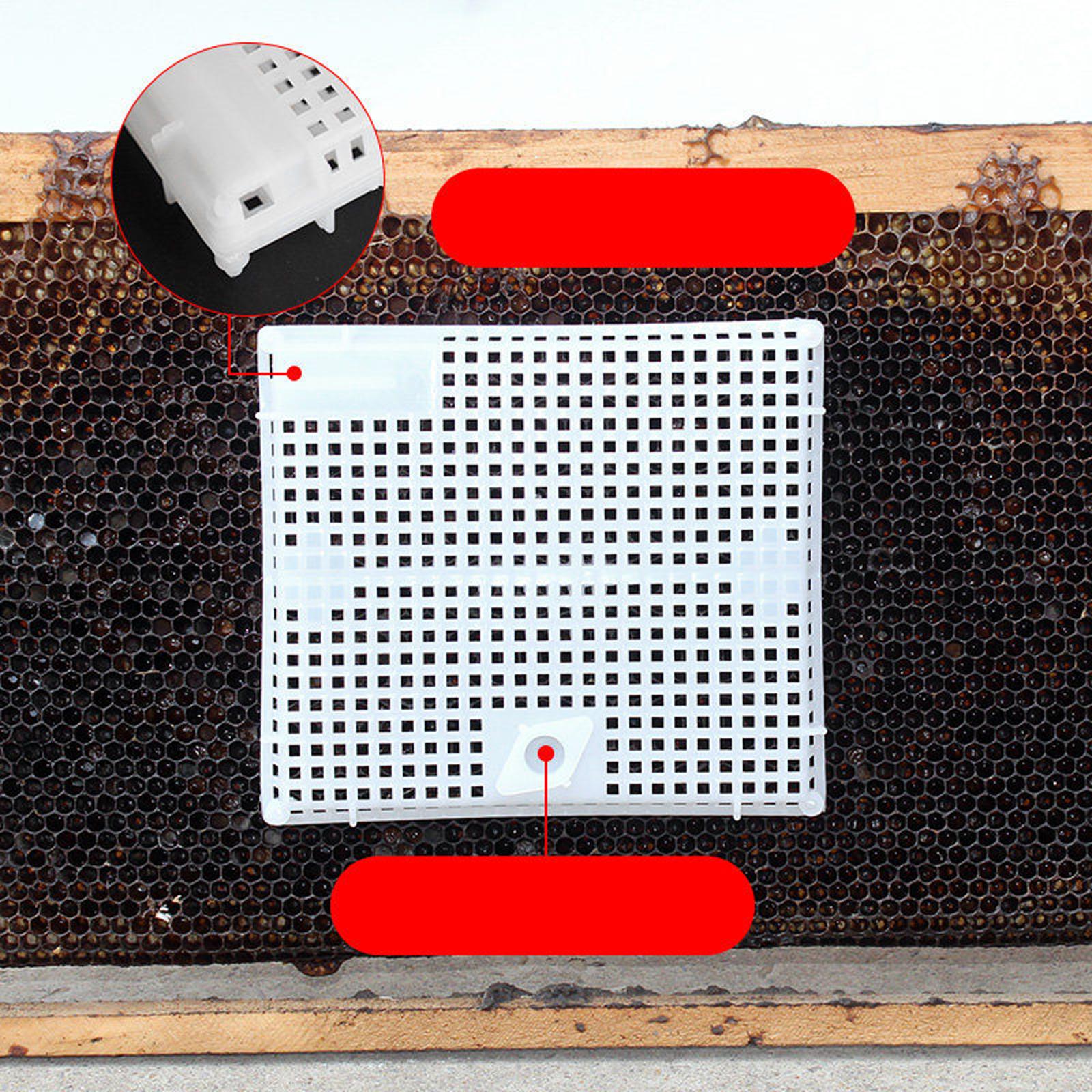 Queen Bee Isolator Introducing Cage Plastic Equipment Reusable Beekeeping White