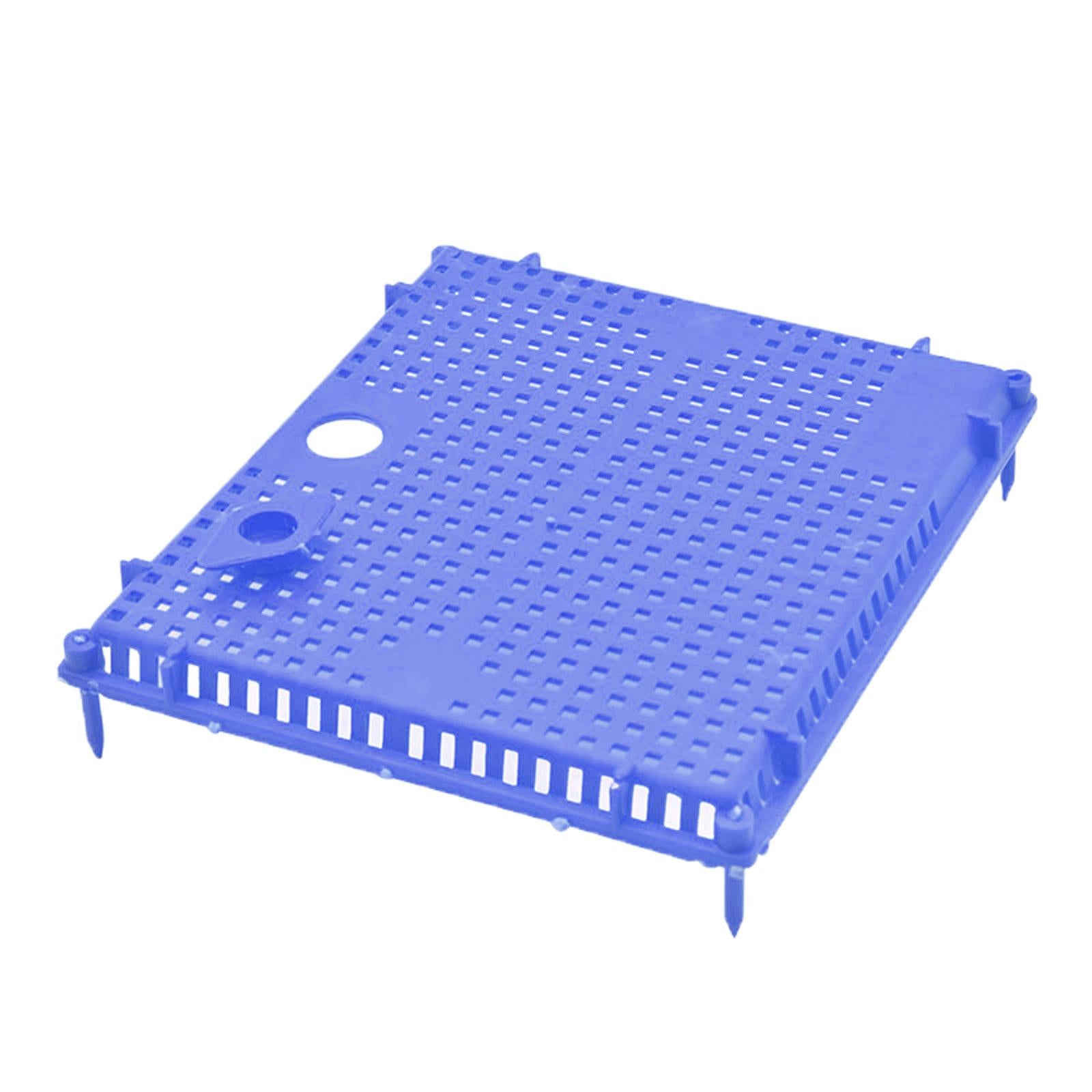 Queen Bee Isolator Introducing Cage Plastic Equipment Reusable Beekeeping Blue