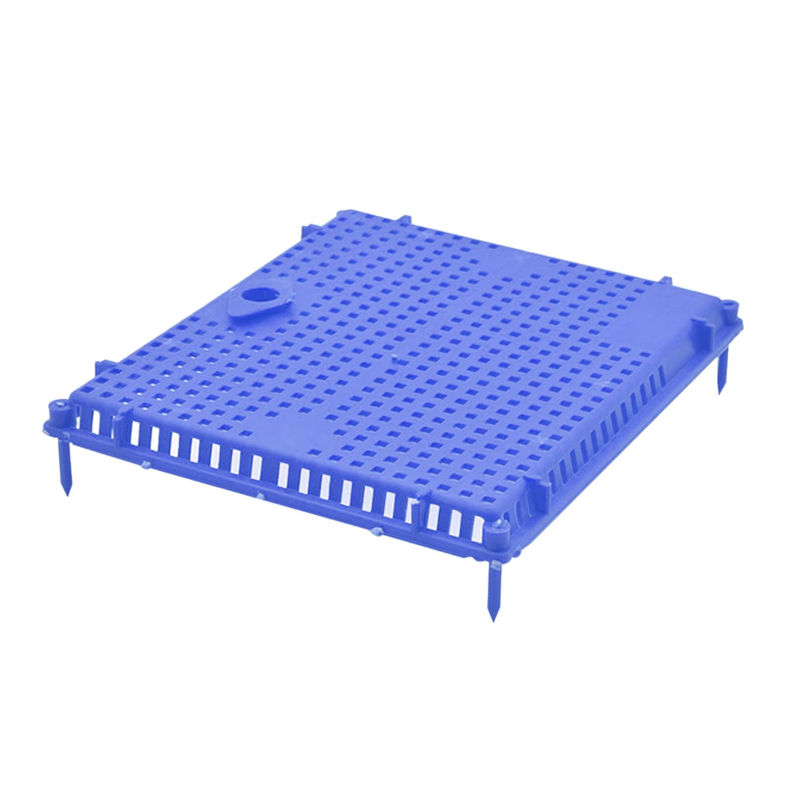 Queen Bee Isolator Introducing Cage Plastic Equipment Reusable Beekeeping Blue