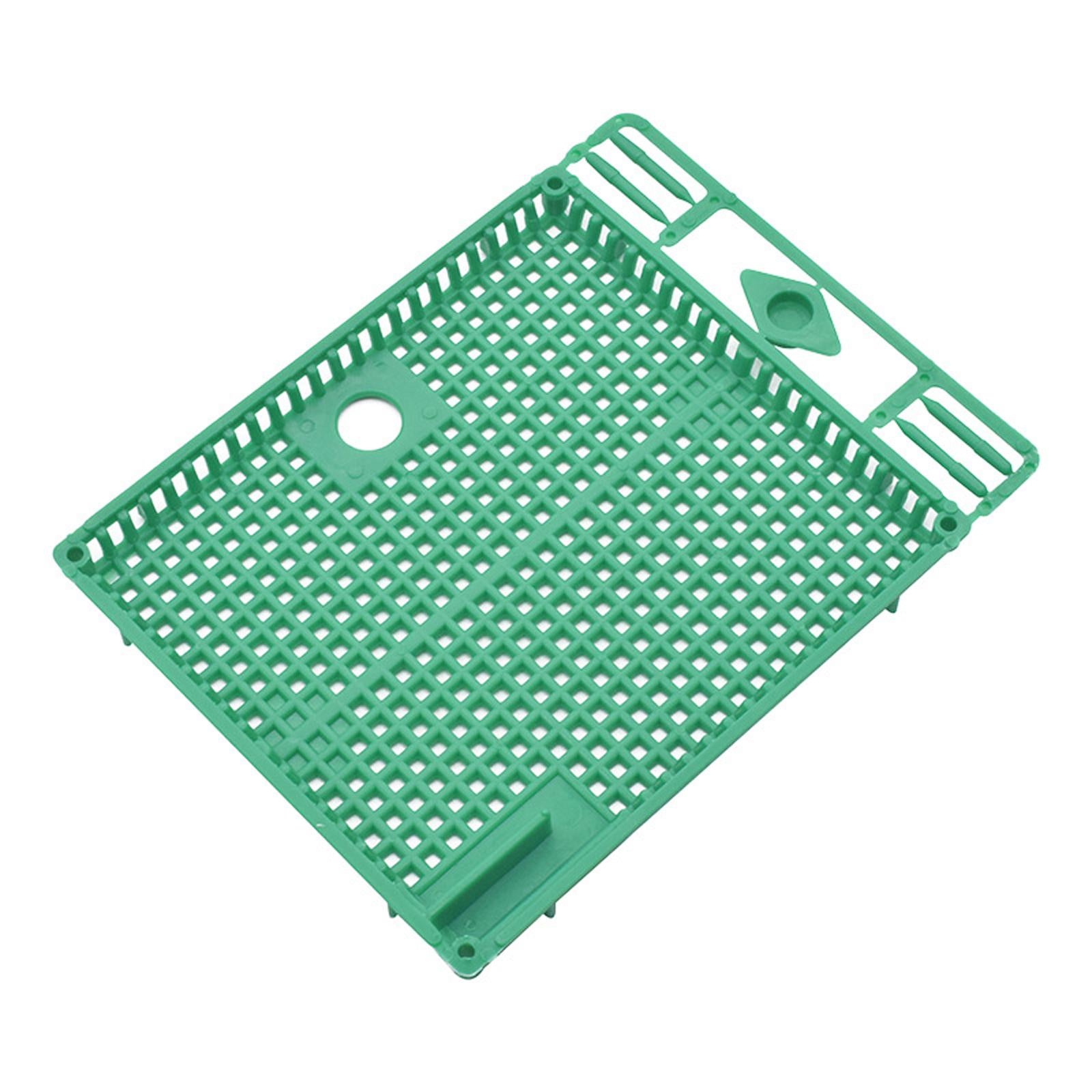 Queen Bee Isolator Introducing Cage Plastic Equipment Reusable Beekeeping Green