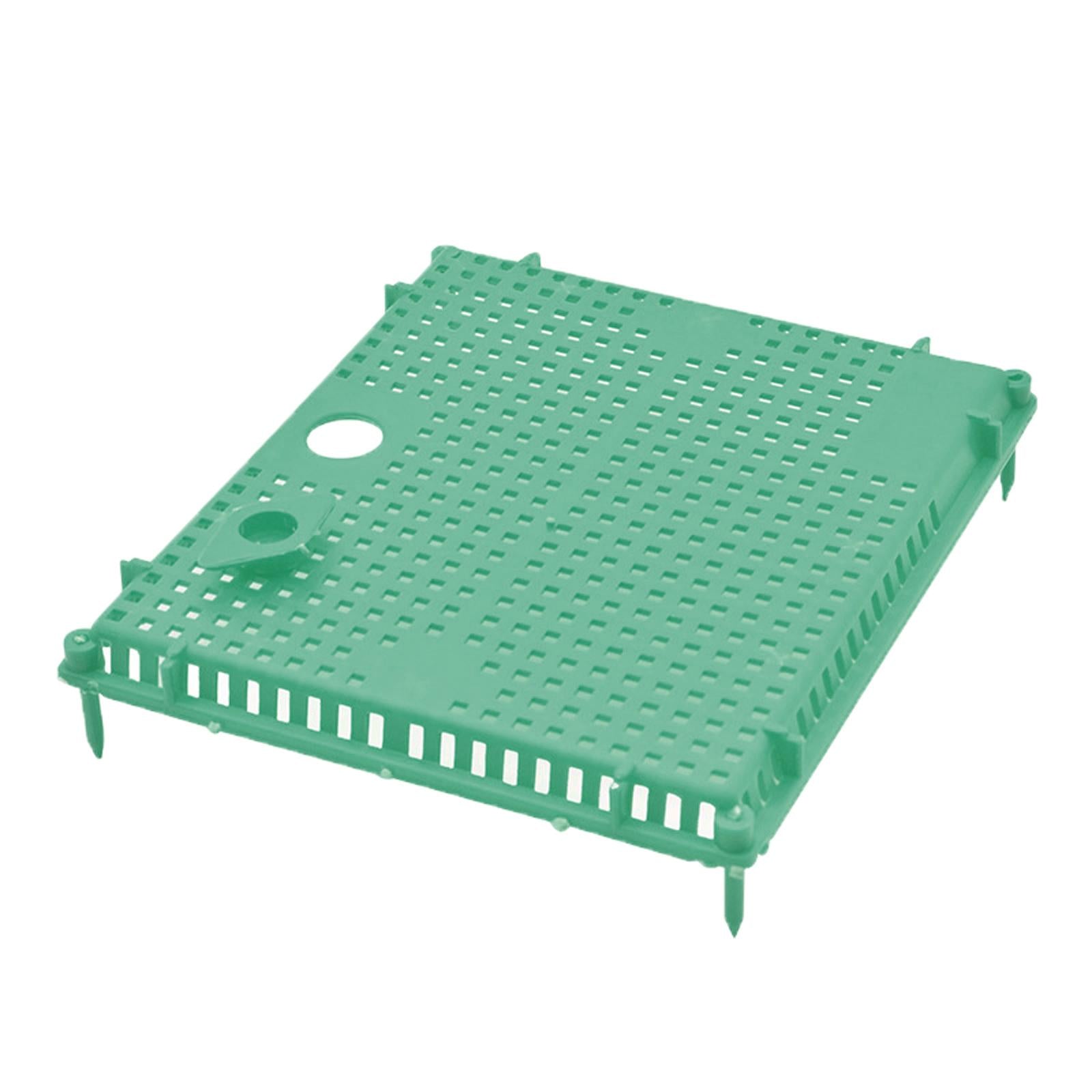 Queen Bee Isolator Introducing Cage Plastic Equipment Reusable Beekeeping Green