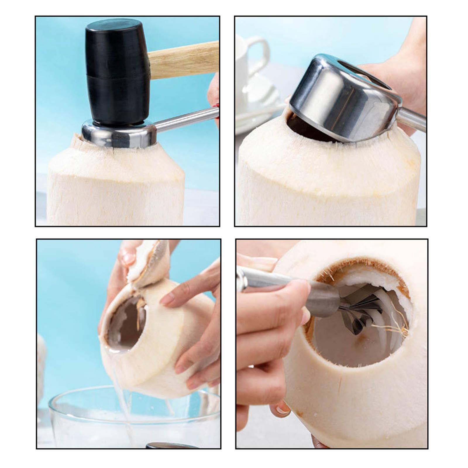 Stainless Steel Coconut Opener Easy to Open Coconut Shredder Tool 3Pcs