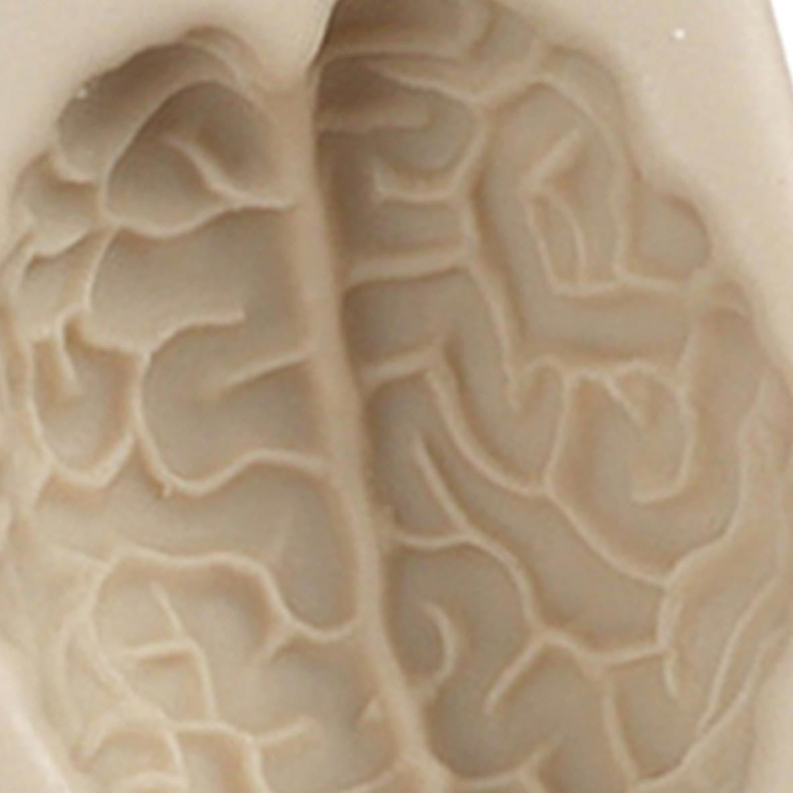 Silicone Fondant Molds DIY Resin Chocolate Mold for Baking Brain Light Gray