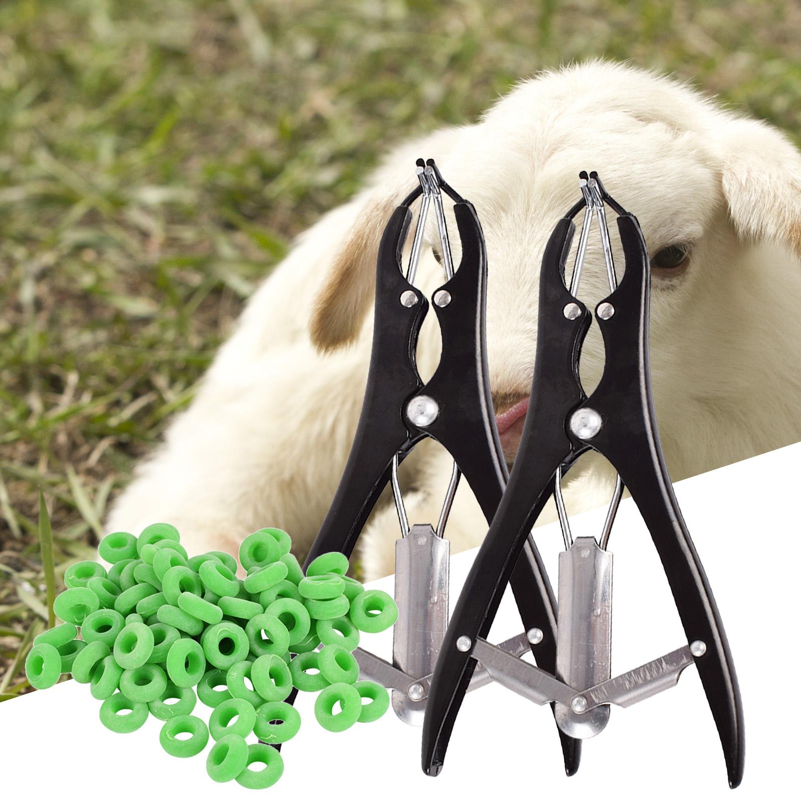Castration Plier Animal Equipment Tool for Pig Sheep With 100pcs Rings