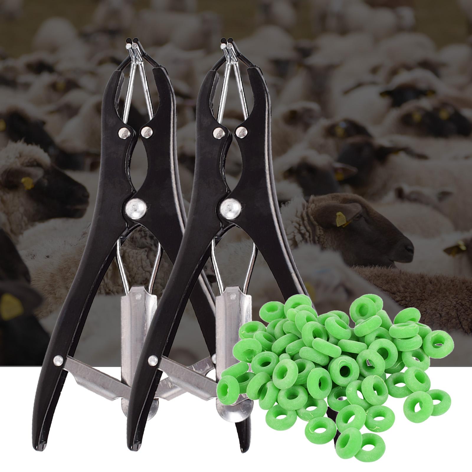 Castration Plier Animal Equipment Tool for Pig Sheep With 100pcs Rings
