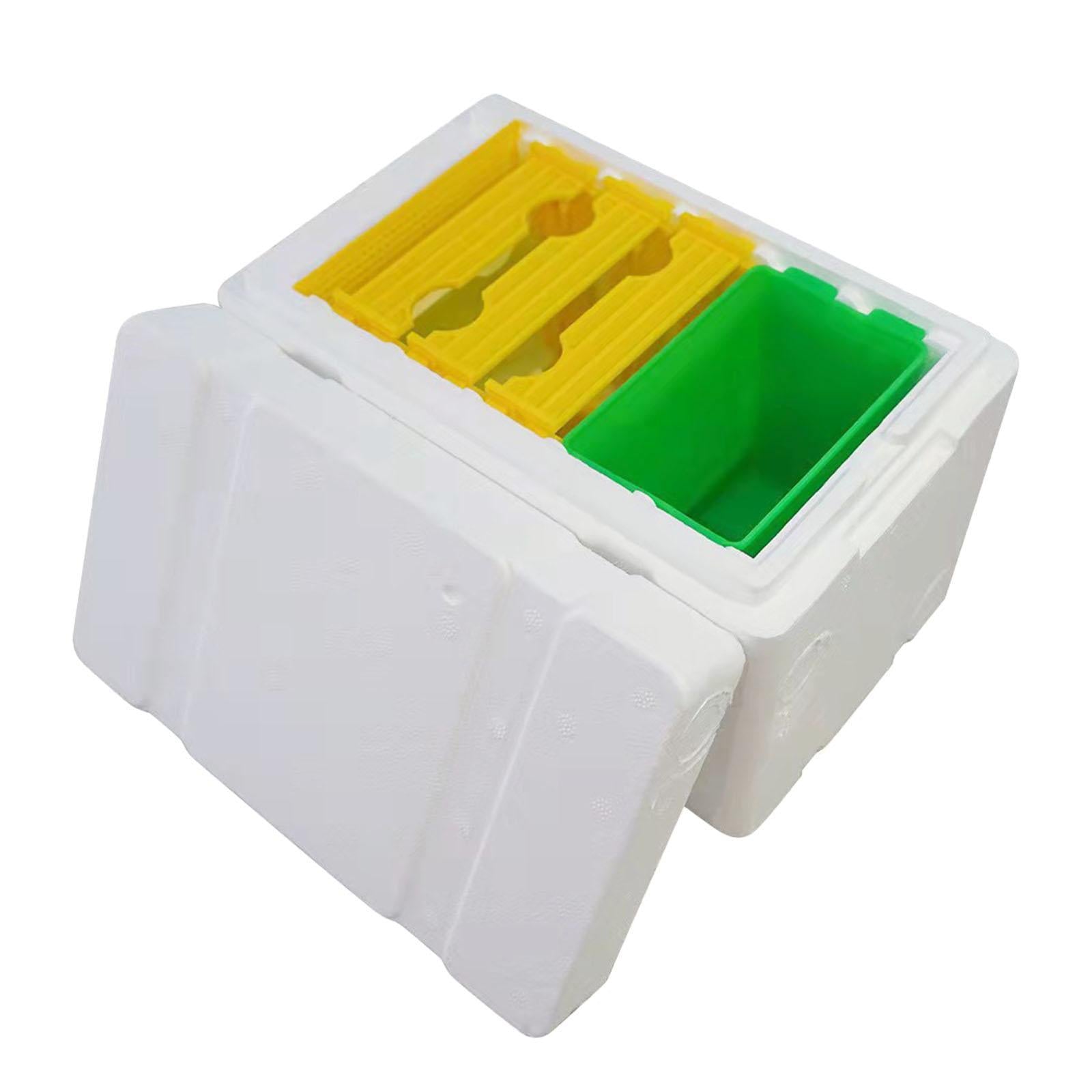 Bee Pollination Box Queen Bee Rearing System Hive Frames DIY Beekeeping