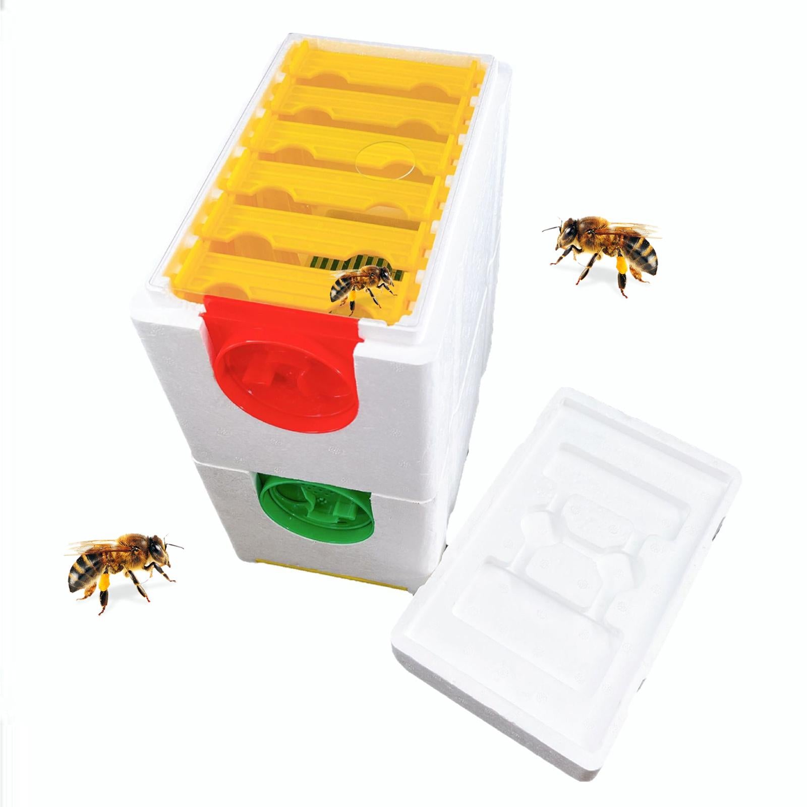 DIY Beekeeping Hives Harvest Pollination Beekeeping for Beekeeper Supplies