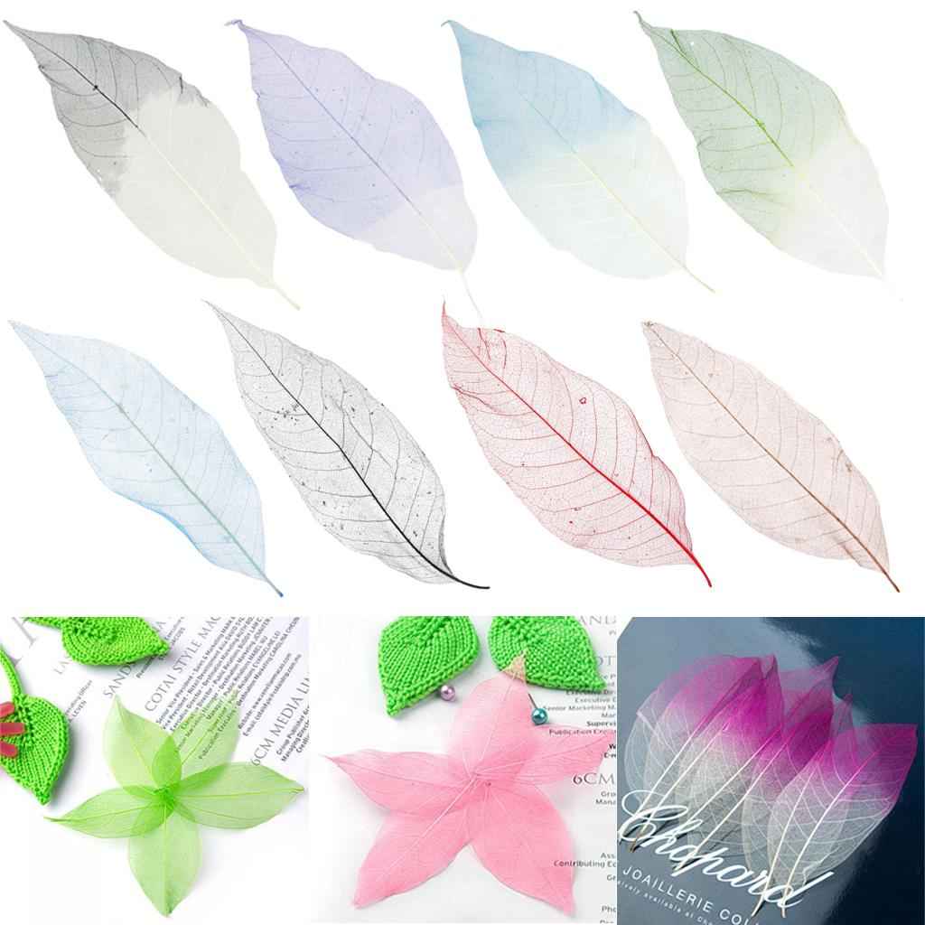 Natural Magnolia Skeleton Leaf Leaves Card Making Scrapbooking Embellishments Craft Supplies Green Pack Of 50PCS