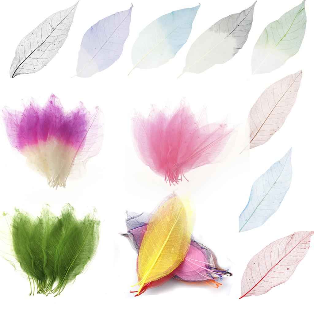 Natural Magnolia Skeleton Leaf Leaves Card Making Scrapbooking Embellishments Craft Supplies Green Pack Of 50PCS