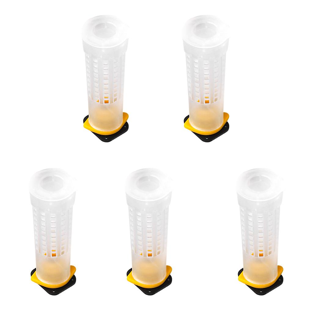2000Beekeeping Queen Bee Hair Roller Cages Cell Cup Holder and Cell Fixtures