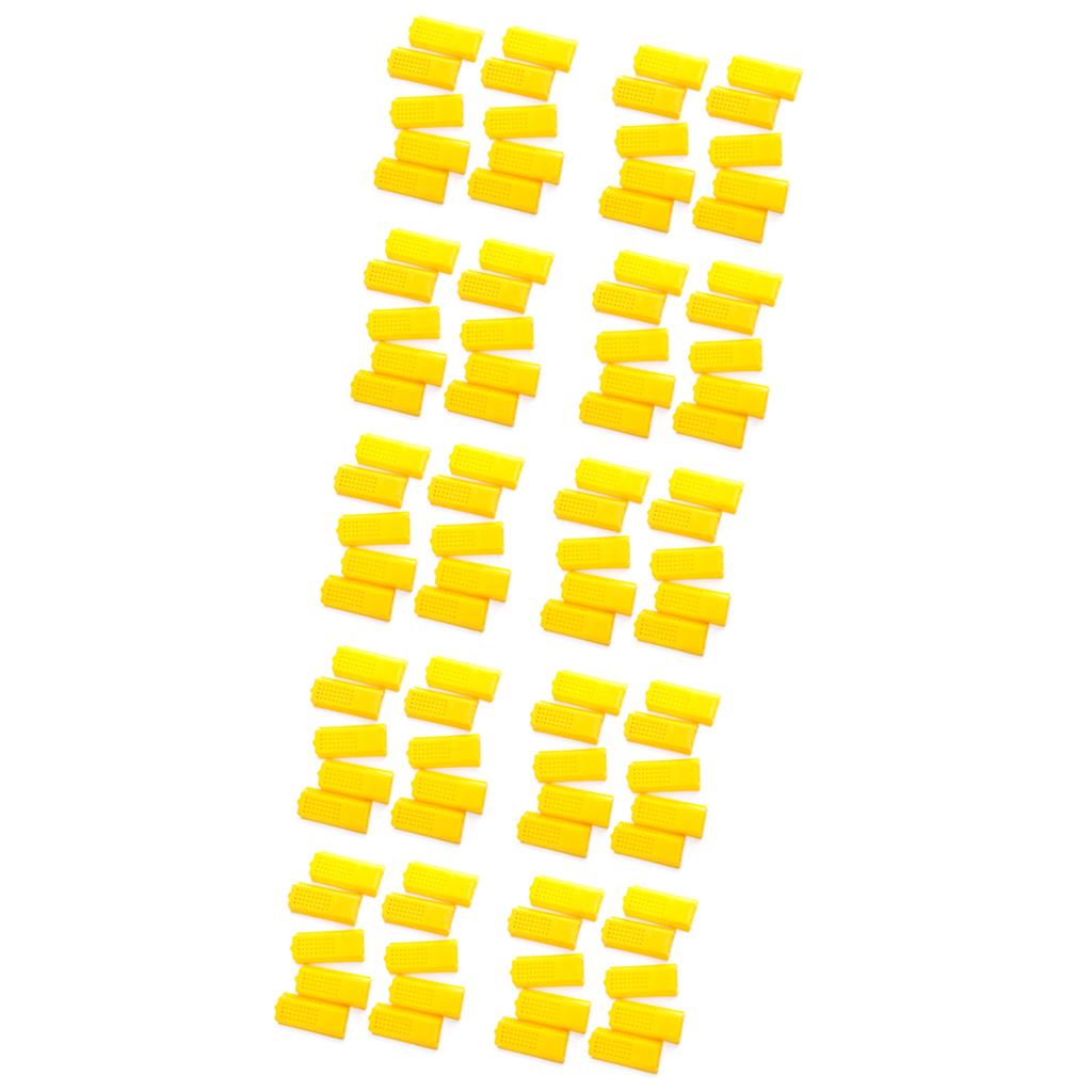 100 piece Professional Queen Bee Butler Cage Moving Catcher Beekeeping Tools