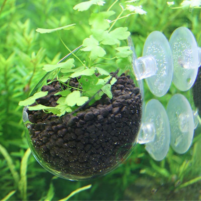3Piece Aquatic Plant Glass Cup Pot for Aquarium Aquascaping Fish Tank Holder