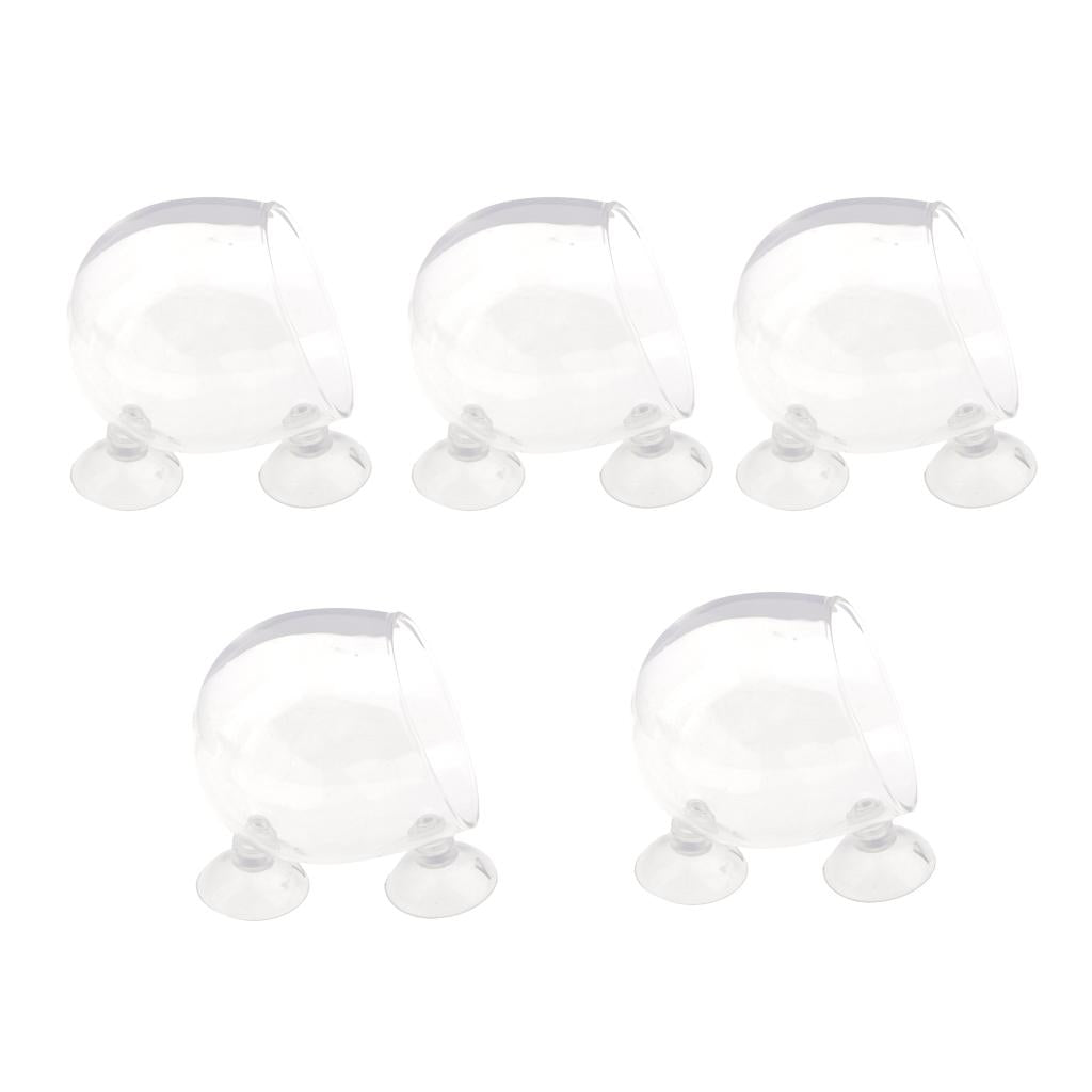5Piece Aquatic Plant Glass Cup Pot for Aquarium Aquascaping Fish Tank Holder
