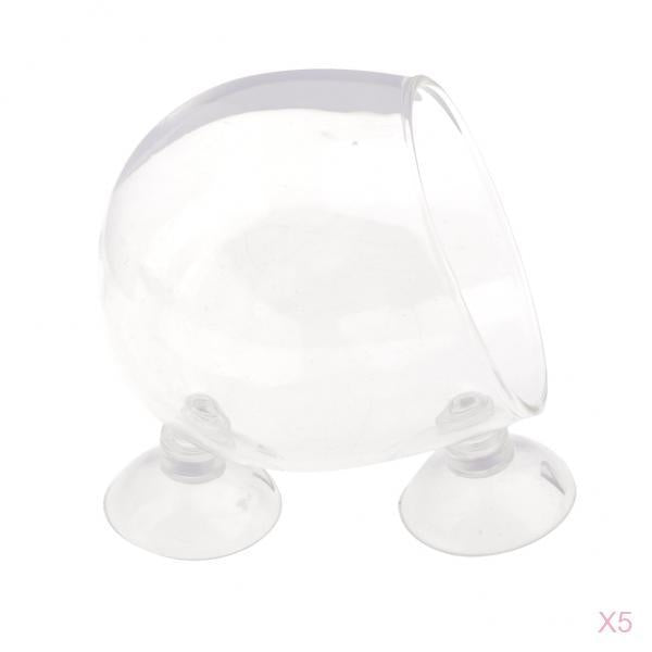 5Piece Aquatic Plant Glass Cup Pot for Aquarium Aquascaping Fish Tank Holder