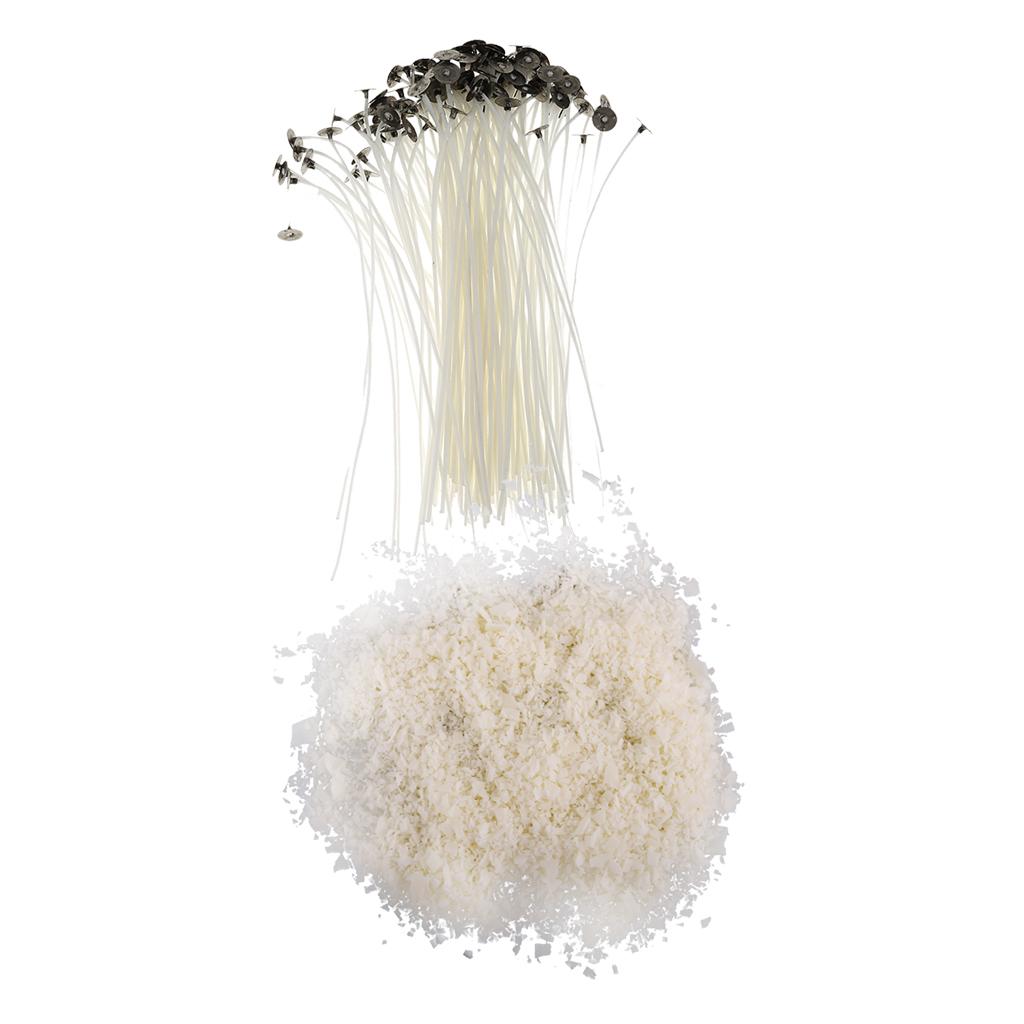 500g 100% Pure Soy Wax Flakes + 20cm Pre Waxed Wicks for Candle Making