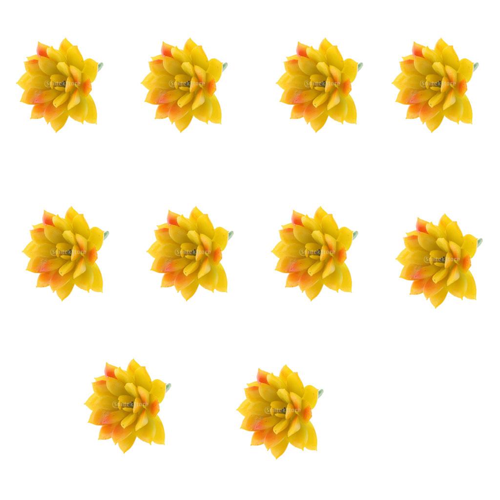 10Pieces Artificial Plastic Succulent Echeveria Plant Flower DIY Home Decor
