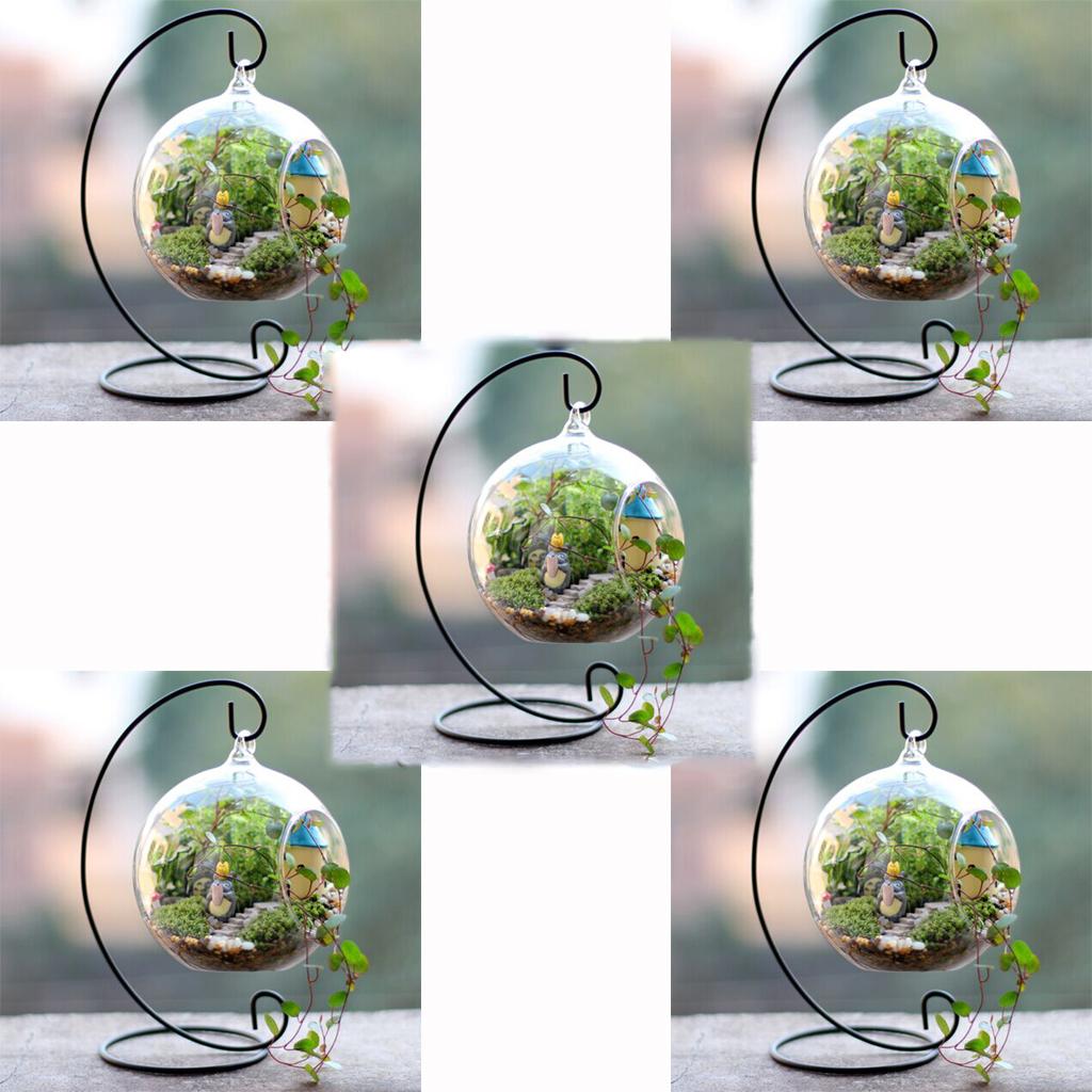 5 Set Hanging Glass Flower Vase Bottle Hydroponic Terrarium Container Stand