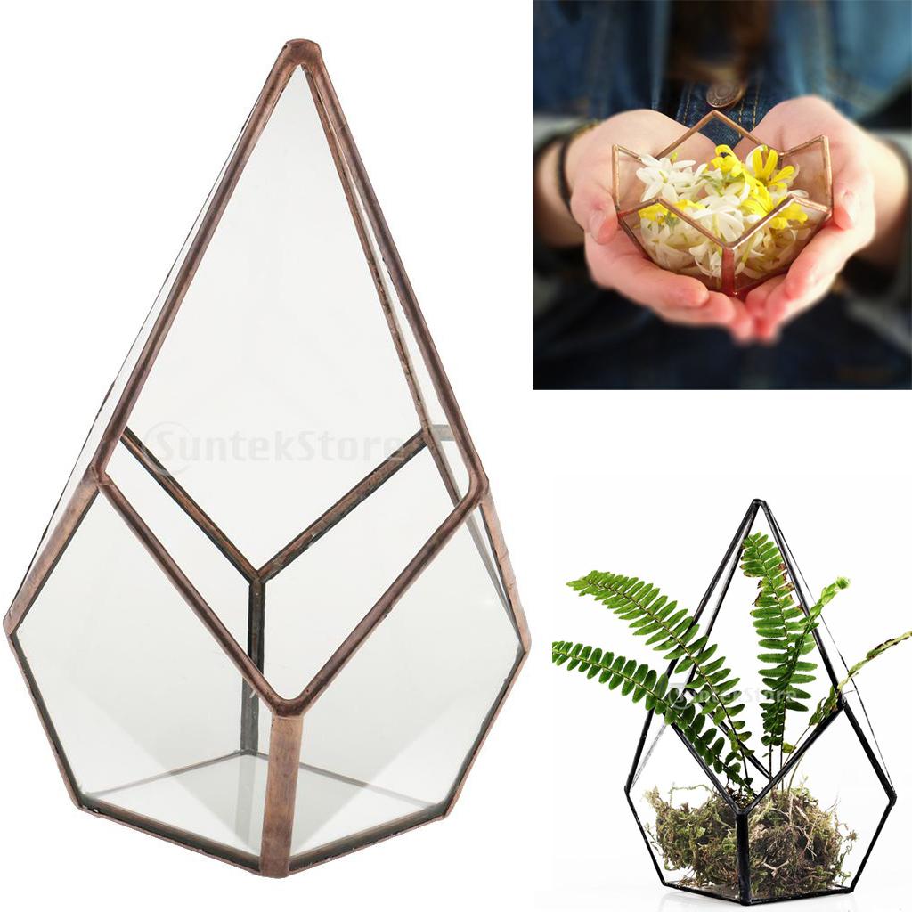 2 Pieces Glass Geometric Terrarium Succulent Plant Planter Jewelry Holder
